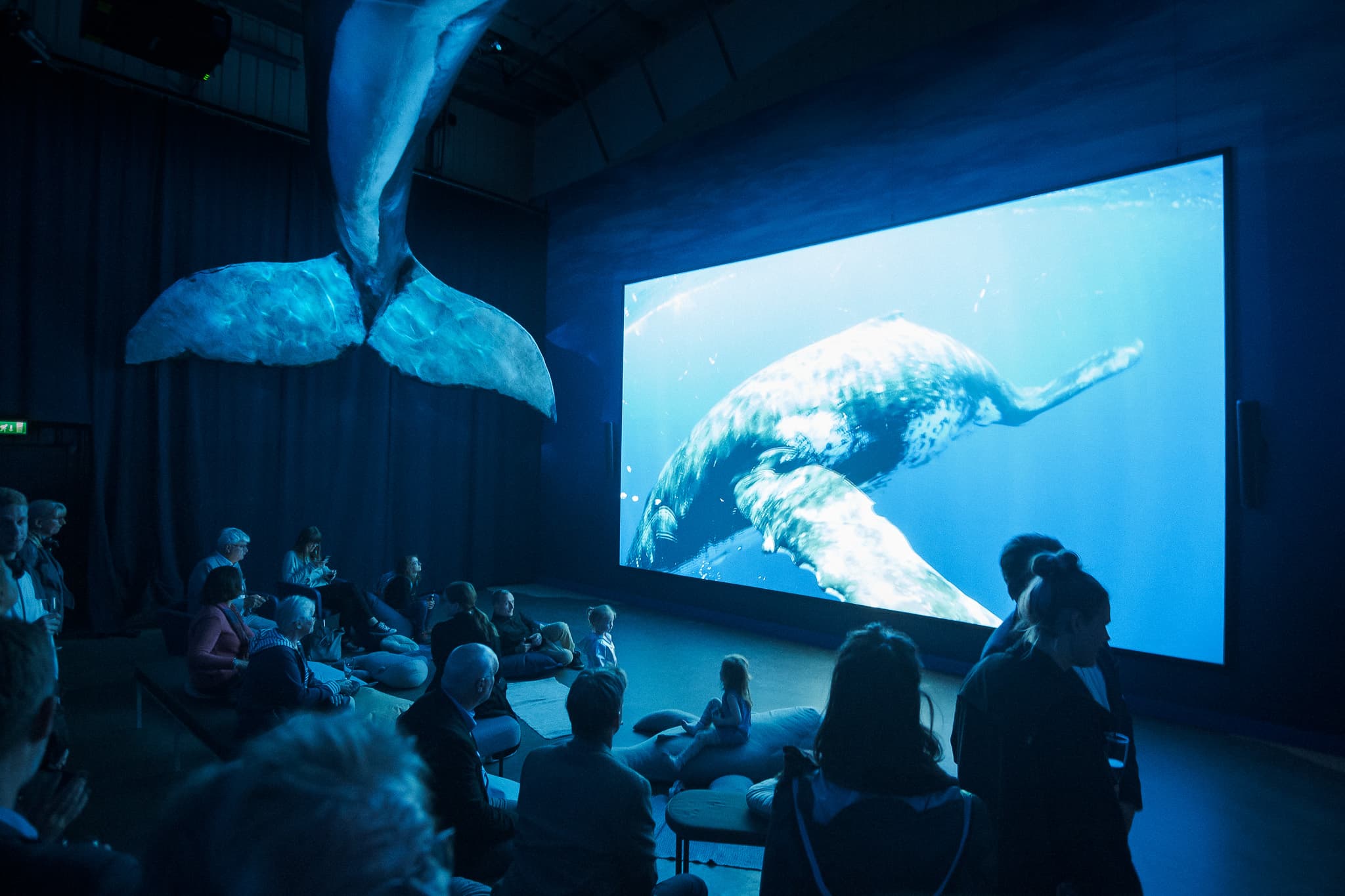 Whales of Iceland Museum Admission - photo 2
