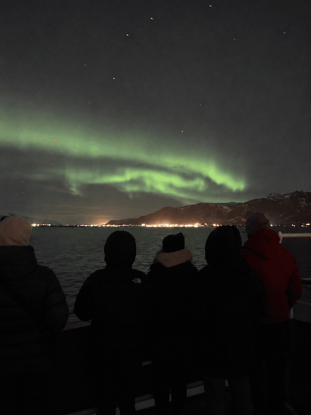 Northern Lights Cruise with Hot Chocolate and Free Retry Included - photo 16
