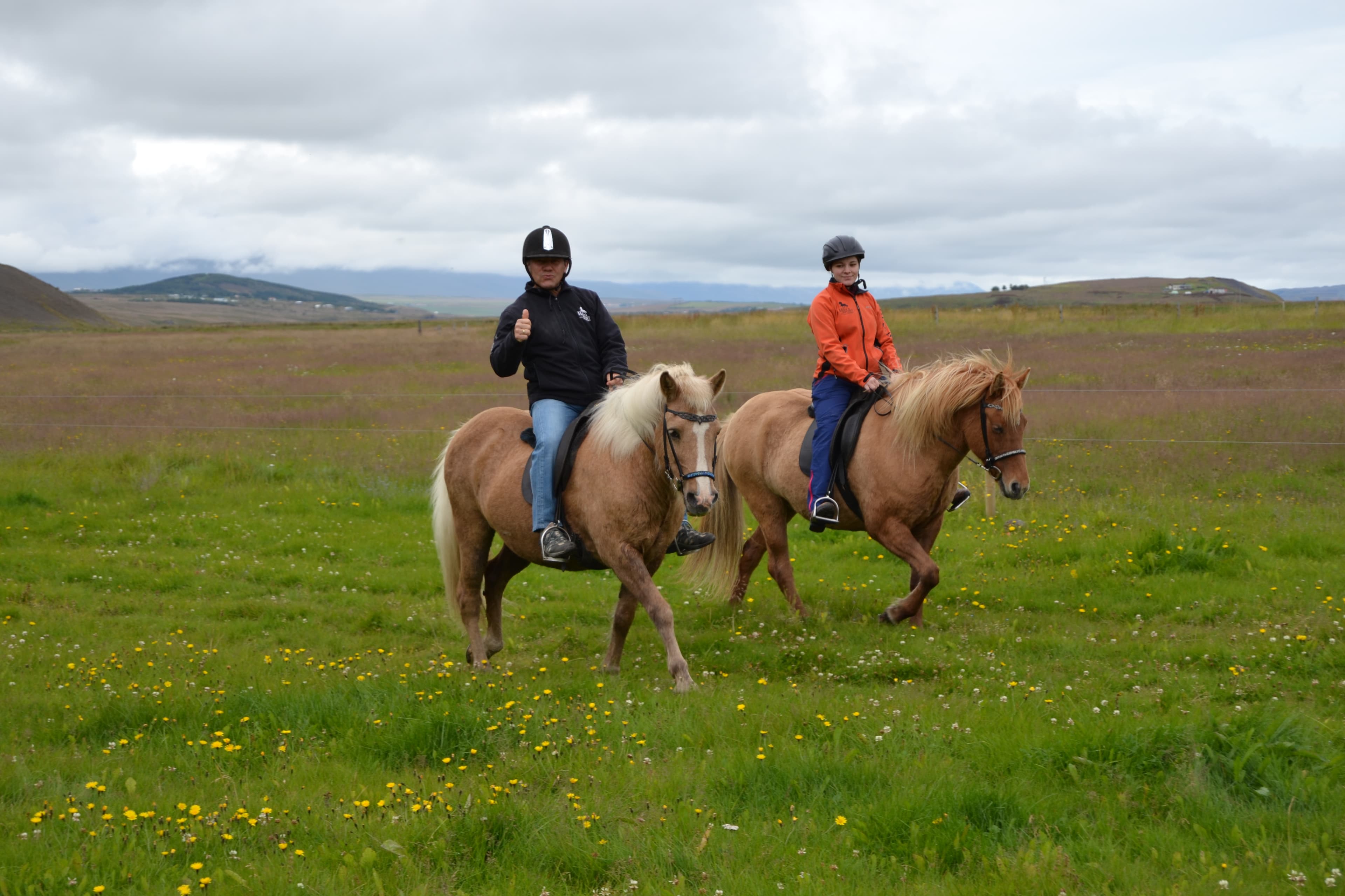 Pleasure in every hoof step - photo 10