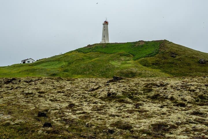 Volcano Circle Tour - Grindavík Town, Reykjanes Lava Fields and Hot Springs - photo 7