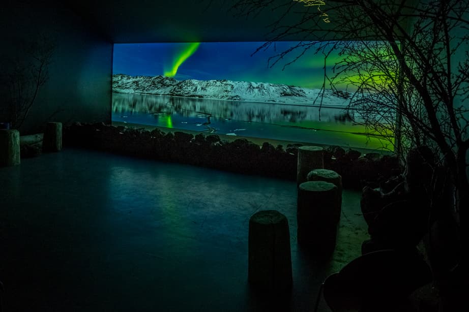 Reykjavík Northern Lights Cruise & Aurora Exhibition - photo 2