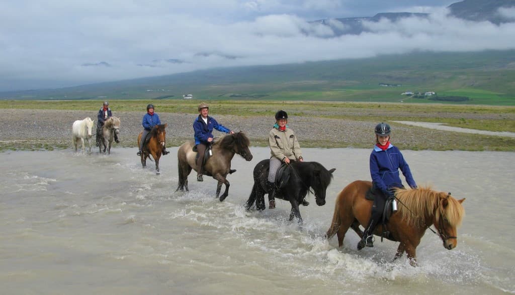 River Delta - photo 7