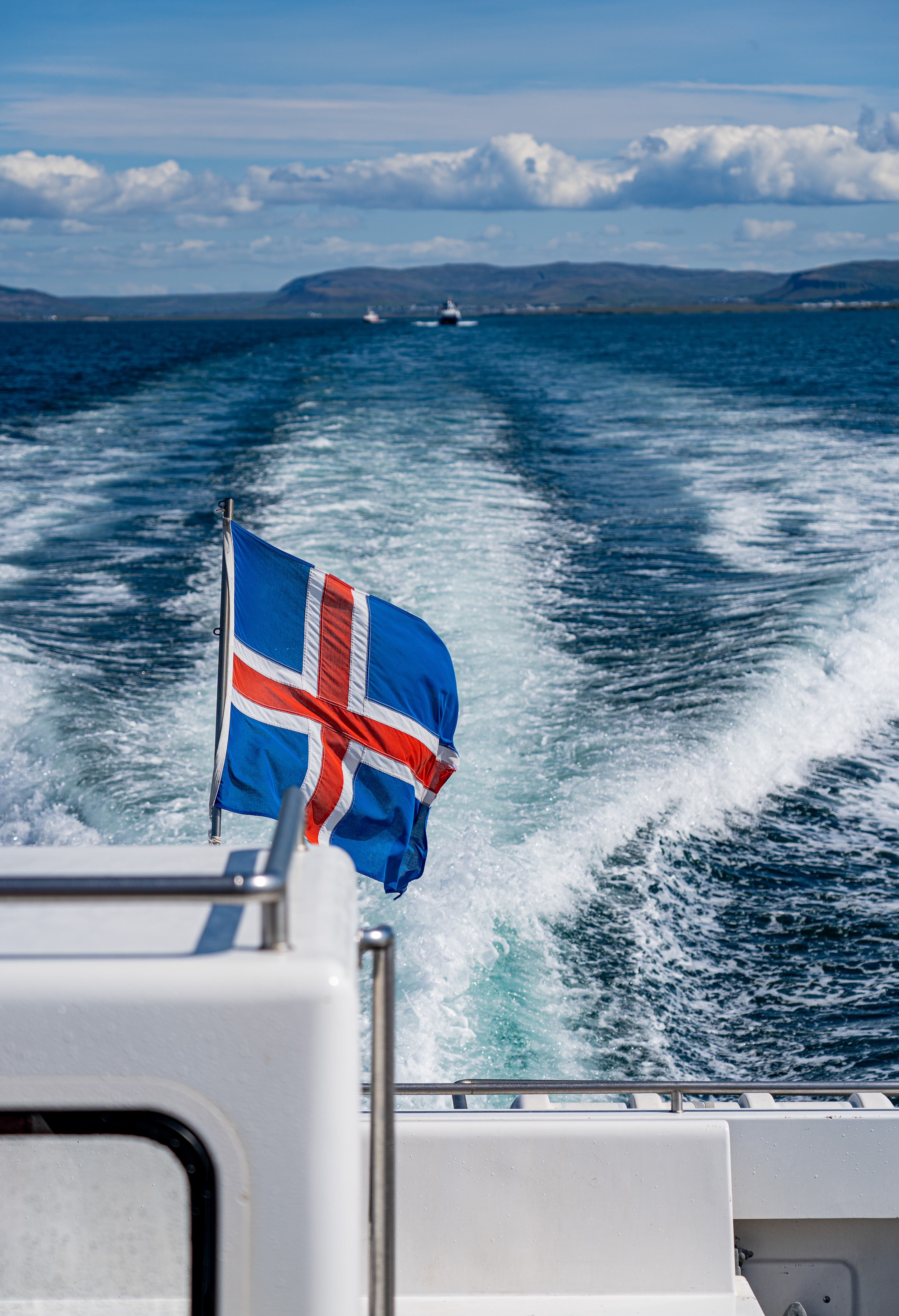 Best Value Whale Watching tour from Reykjavik - photo 11