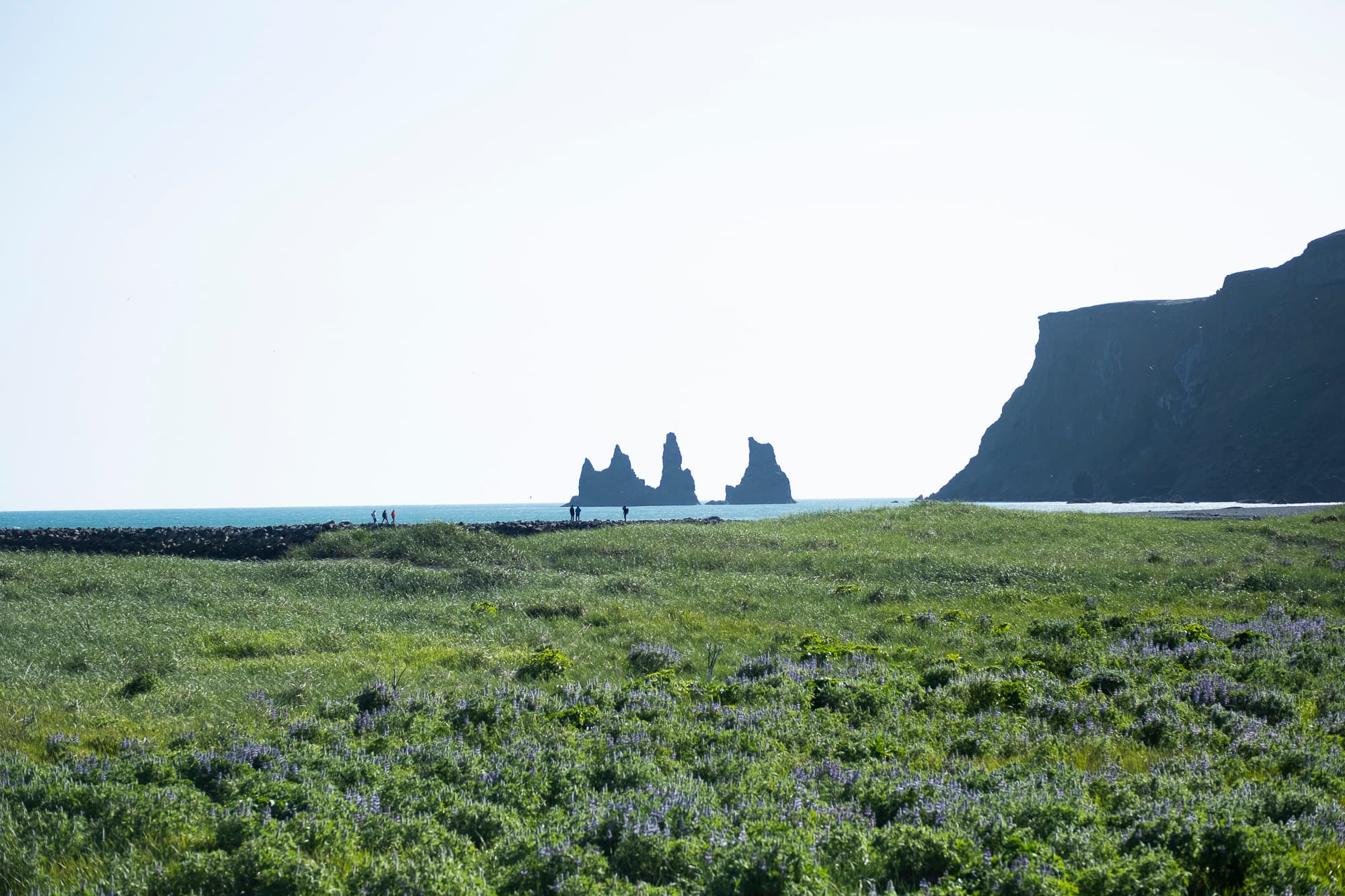 South Coast Tour & Vík Lava Show - photo 15