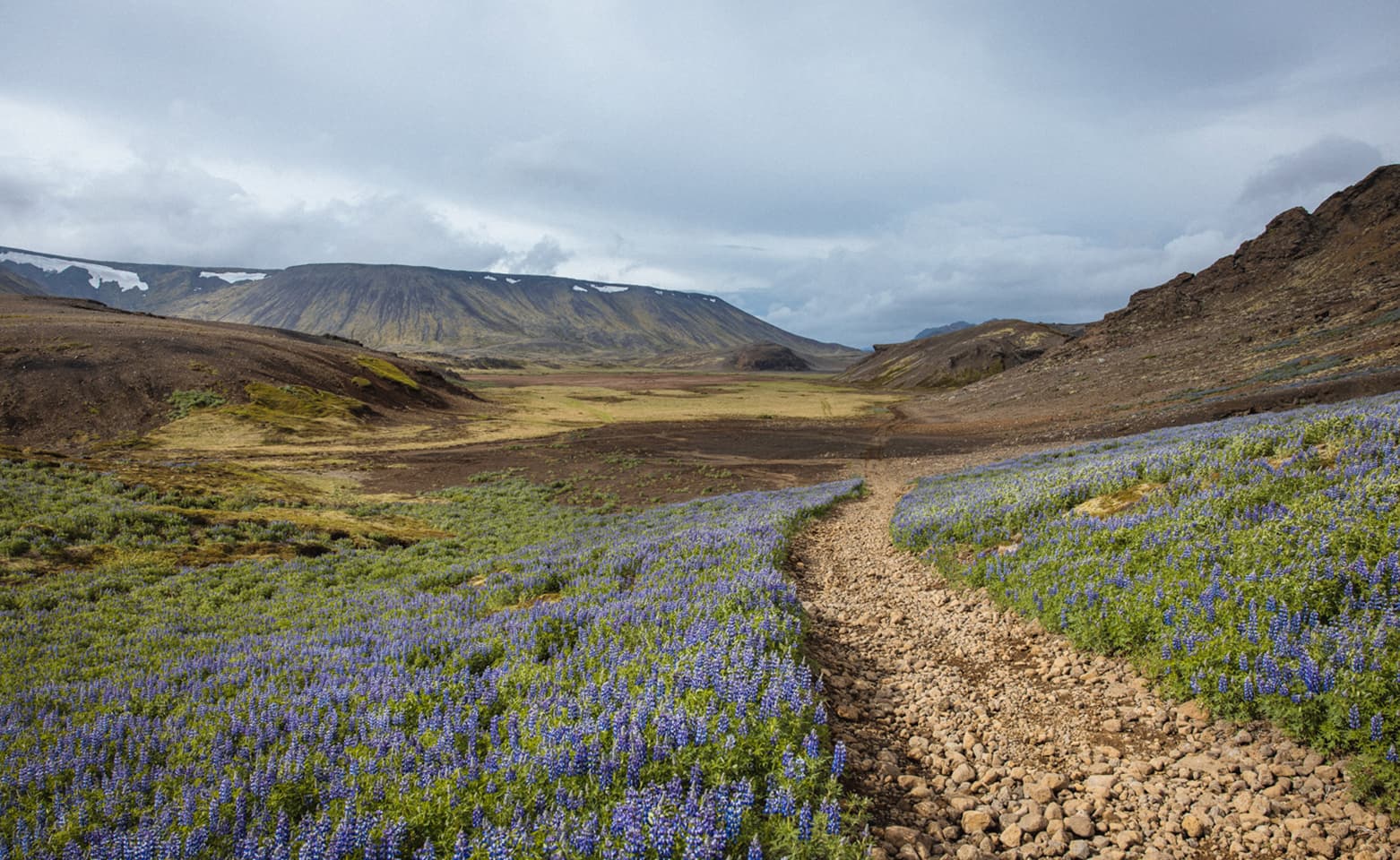 Reykjanes Peninsula | Private Tour | Photo Package Included - photo 18