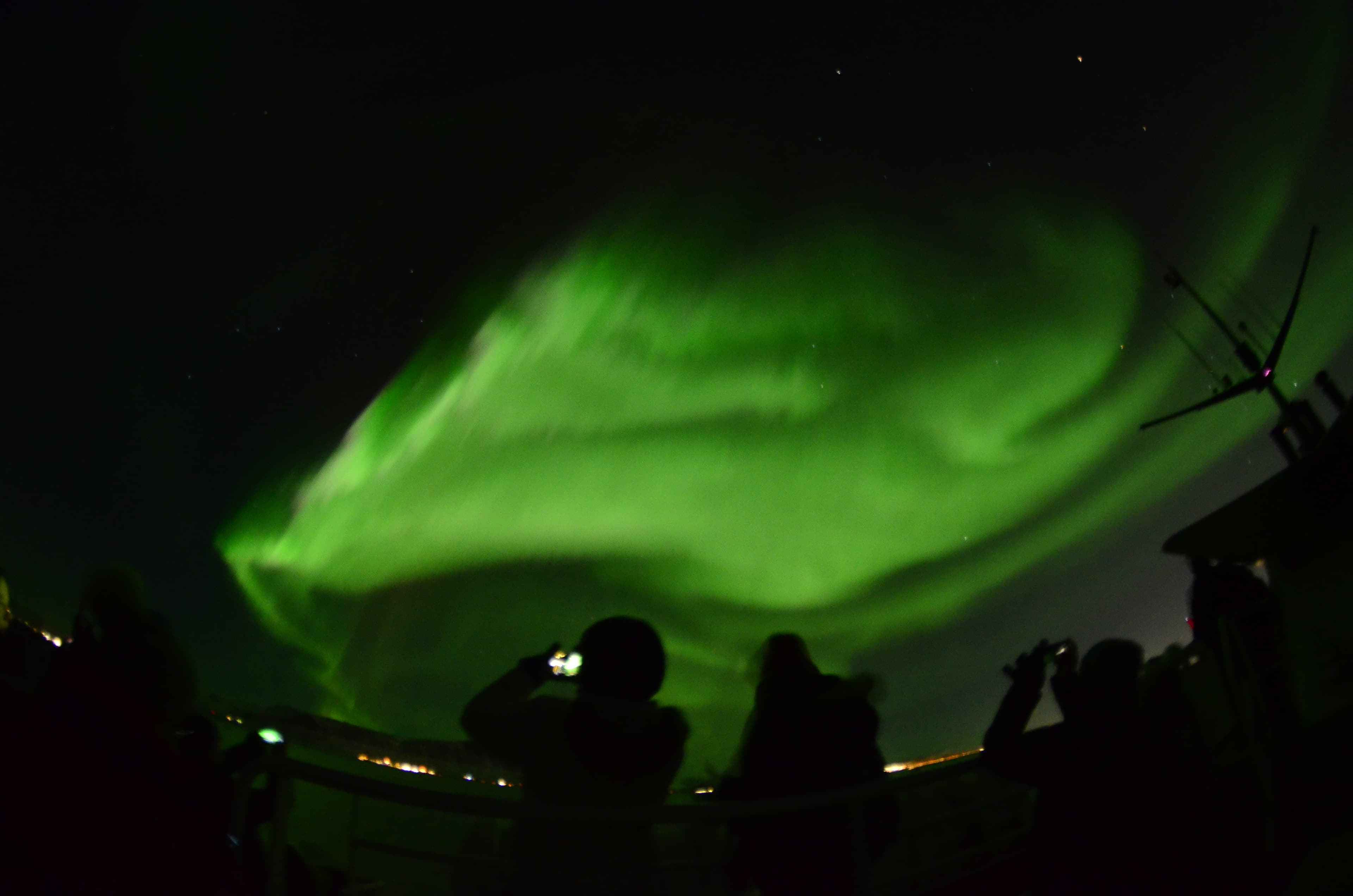 Northern Lights Cruise & The Reykjavík Food Walk - photo 8