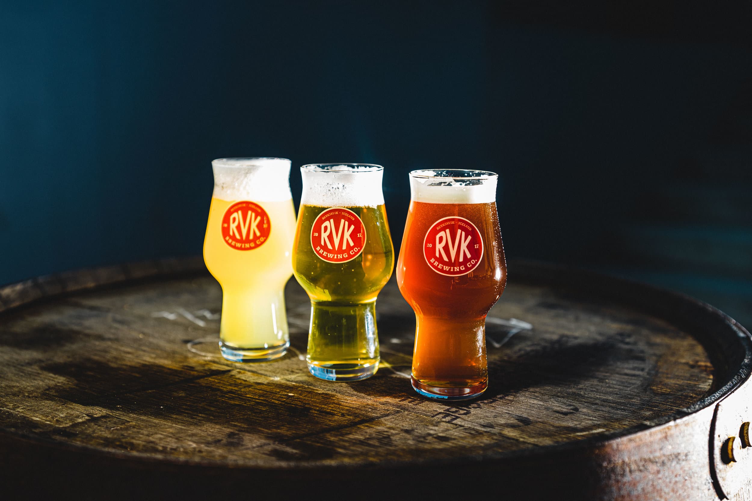 The Private Reykjavik Brewery & Beer Tasting Tour - photo 8