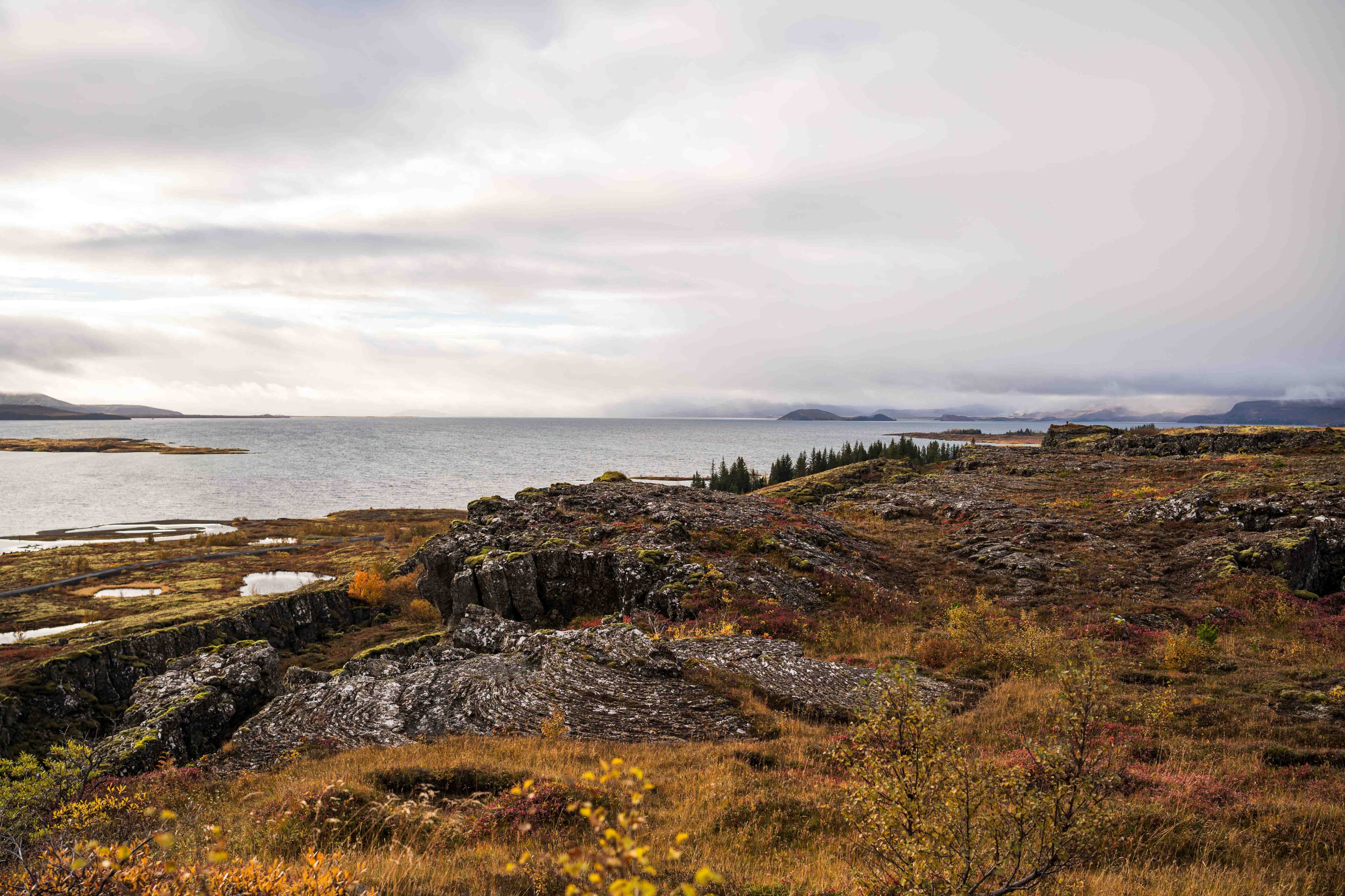 Golden Circle and Waterfalls, with Friðheimar Farm and Kerið in small group - photo 8