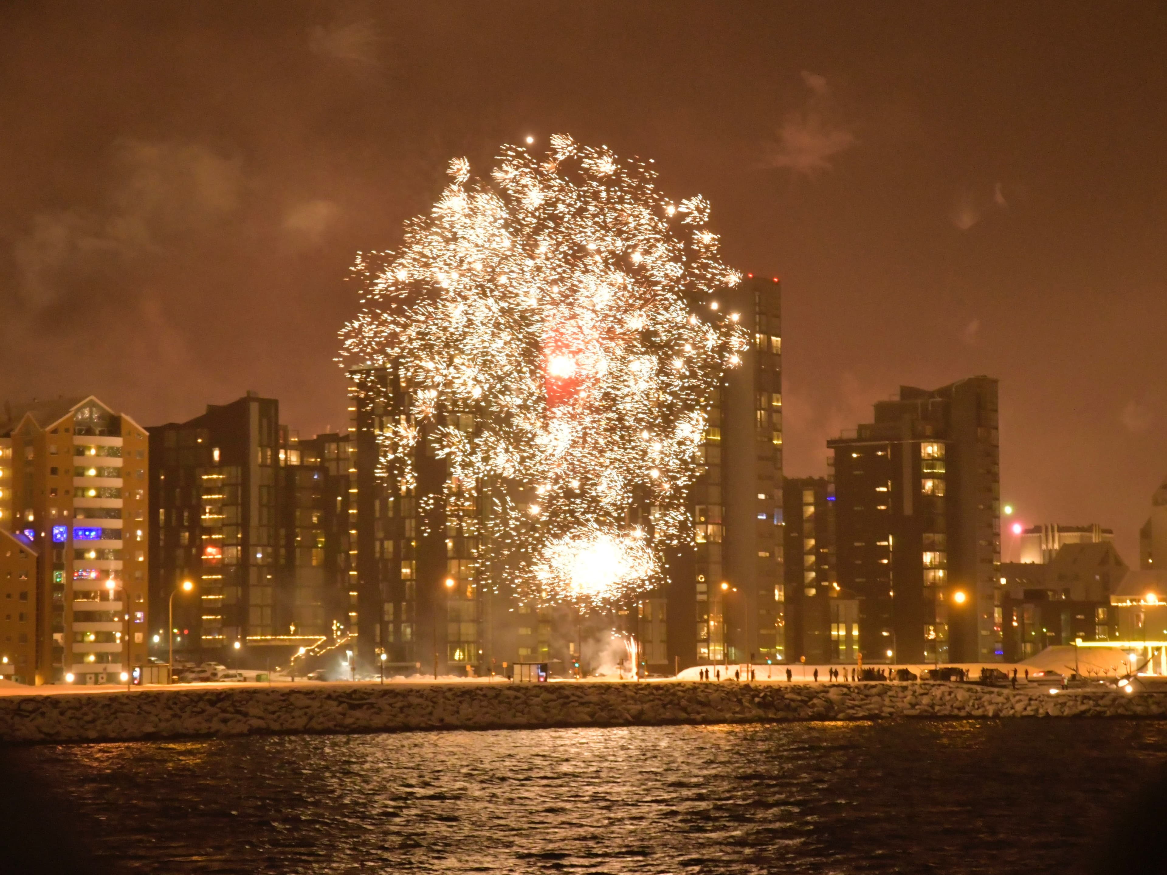 Reykjavík New Year's Eve Celebration at Sea - photo 10