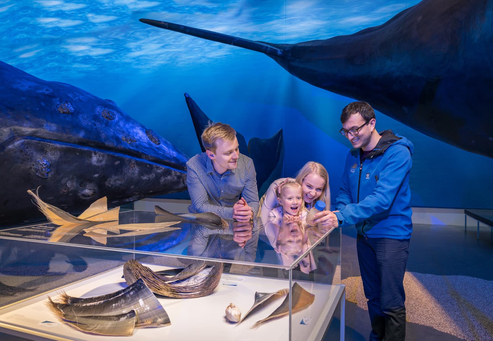 Whale Watching & Whales of Iceland Museum - photo 2