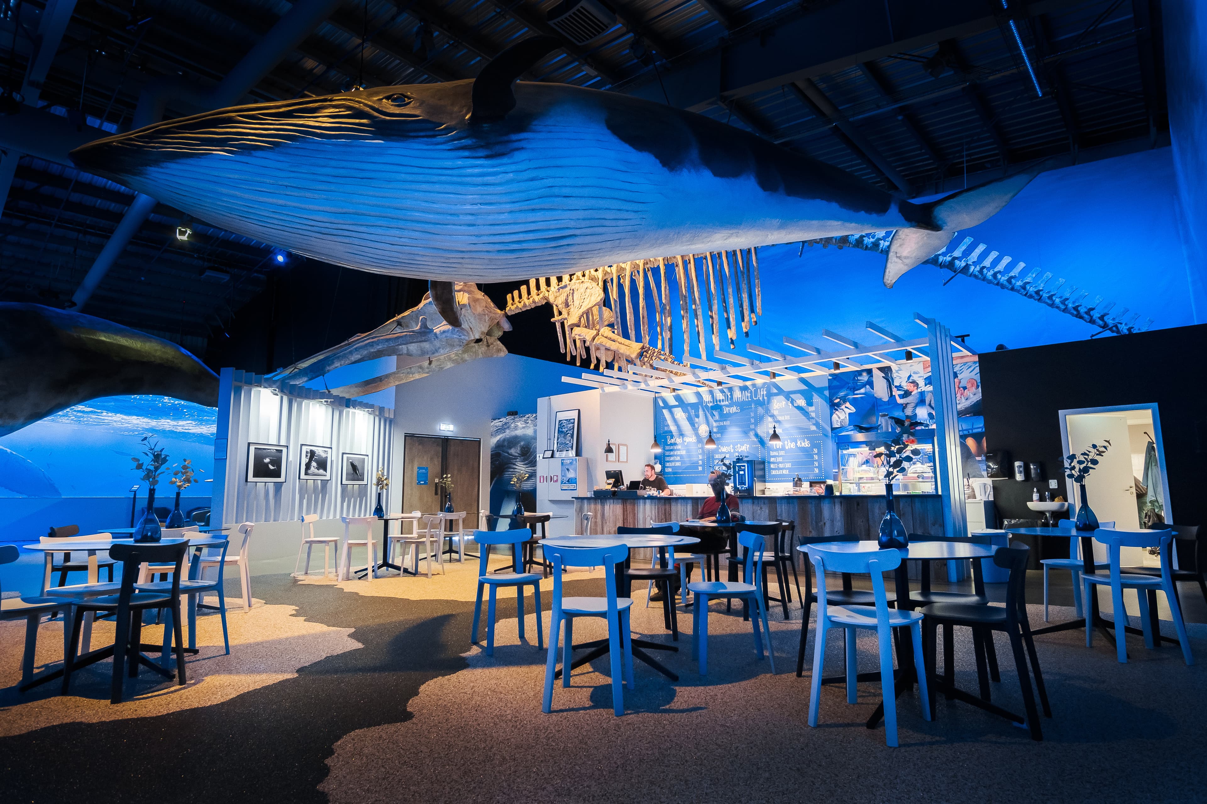 Whales of Iceland Museum Admission - photo 3