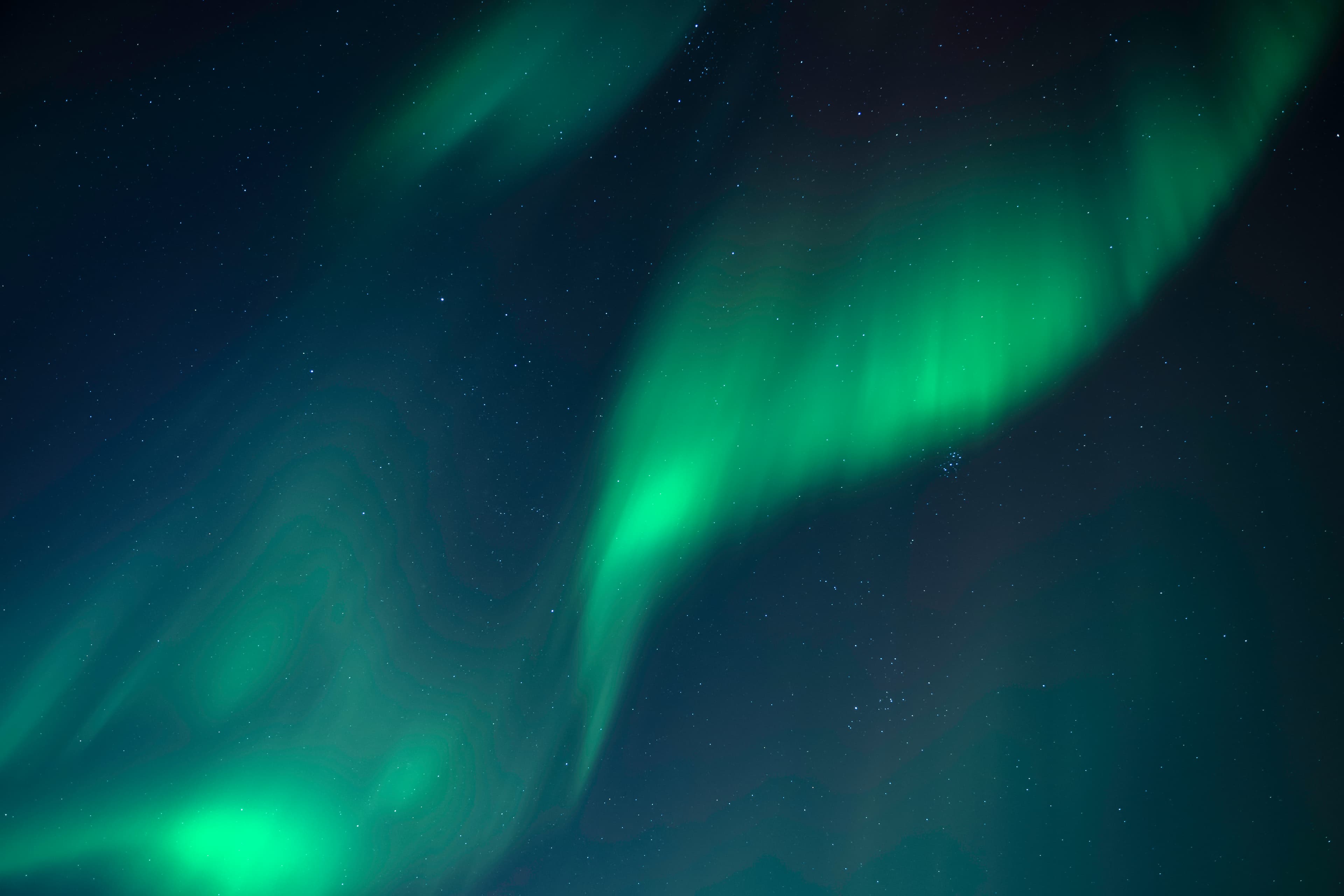 Private Northern Lights Hunt: Minivan - photo 7