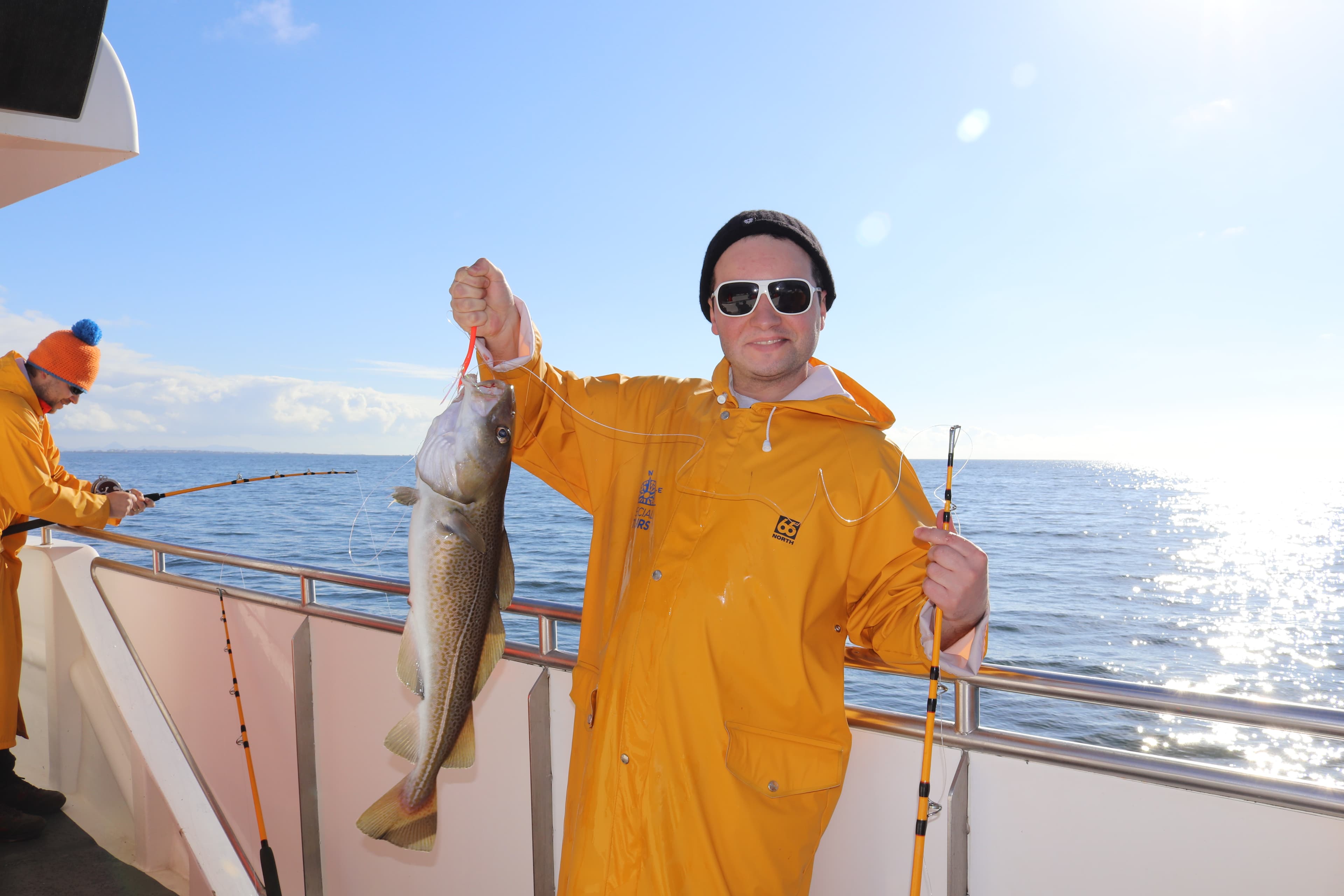 Whales & Sea Angling