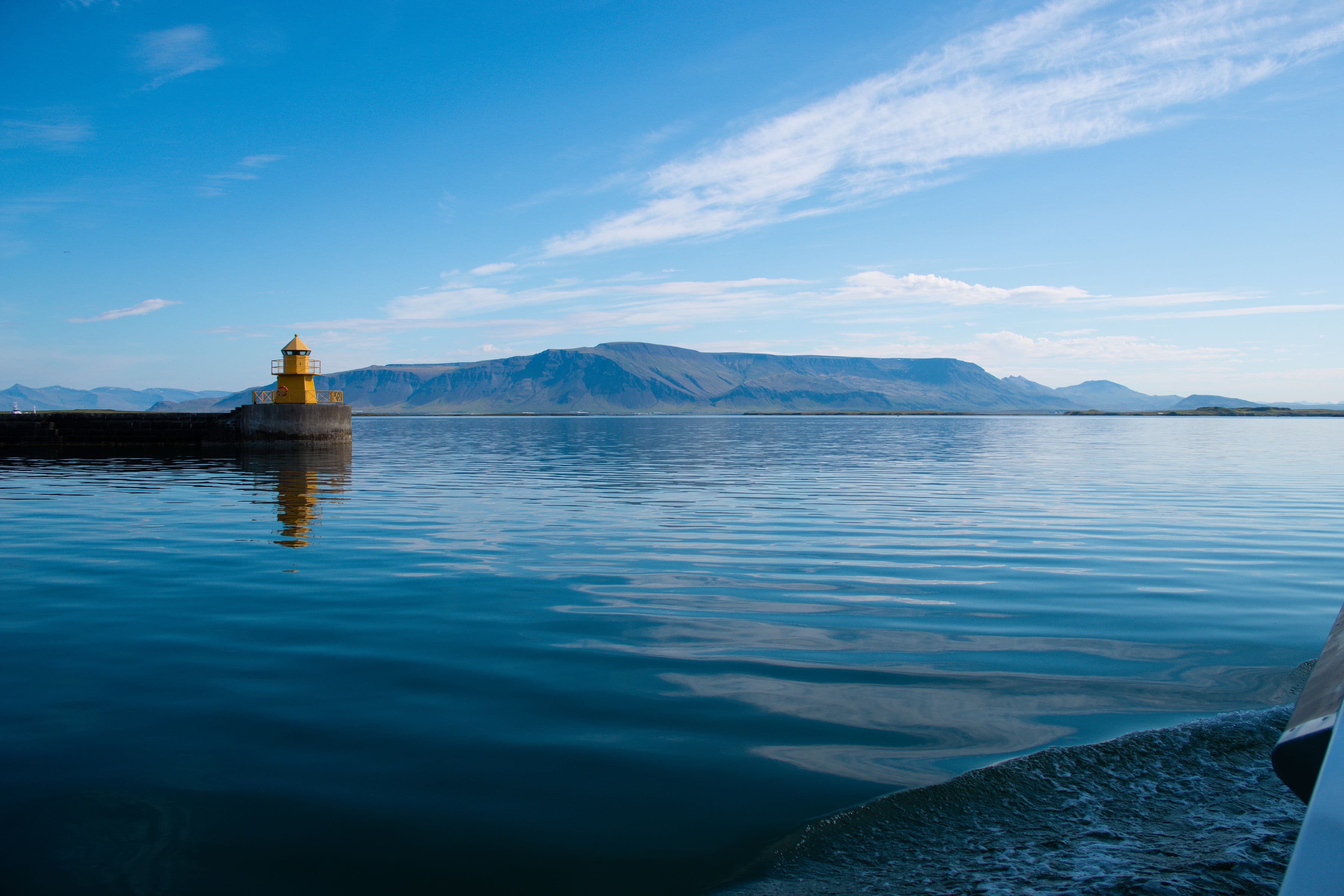 Best Value Whale Watching tour from Reykjavik - photo 36