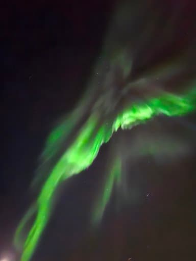 Northern Lights Cruise & The Reykjavík Food Walk - photo 2
