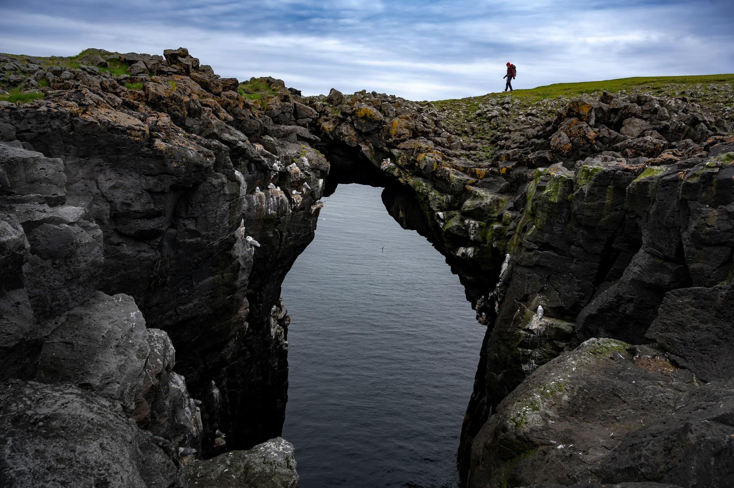 Snaefellsnes Private Tour At Iceland’s West Coast of Wonders - photo 20