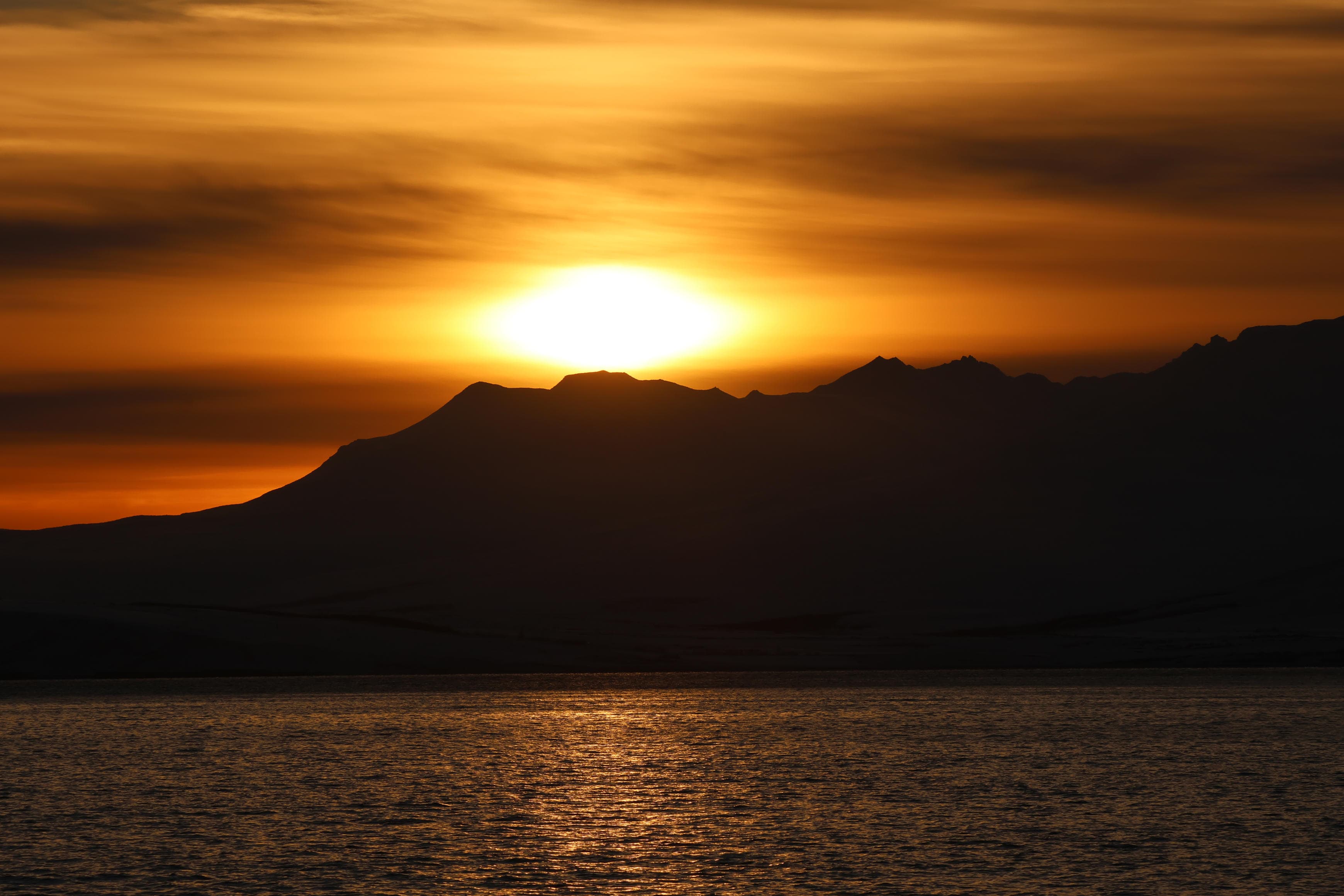 Akureyri Express Whales in the Midnight Sun - photo 4