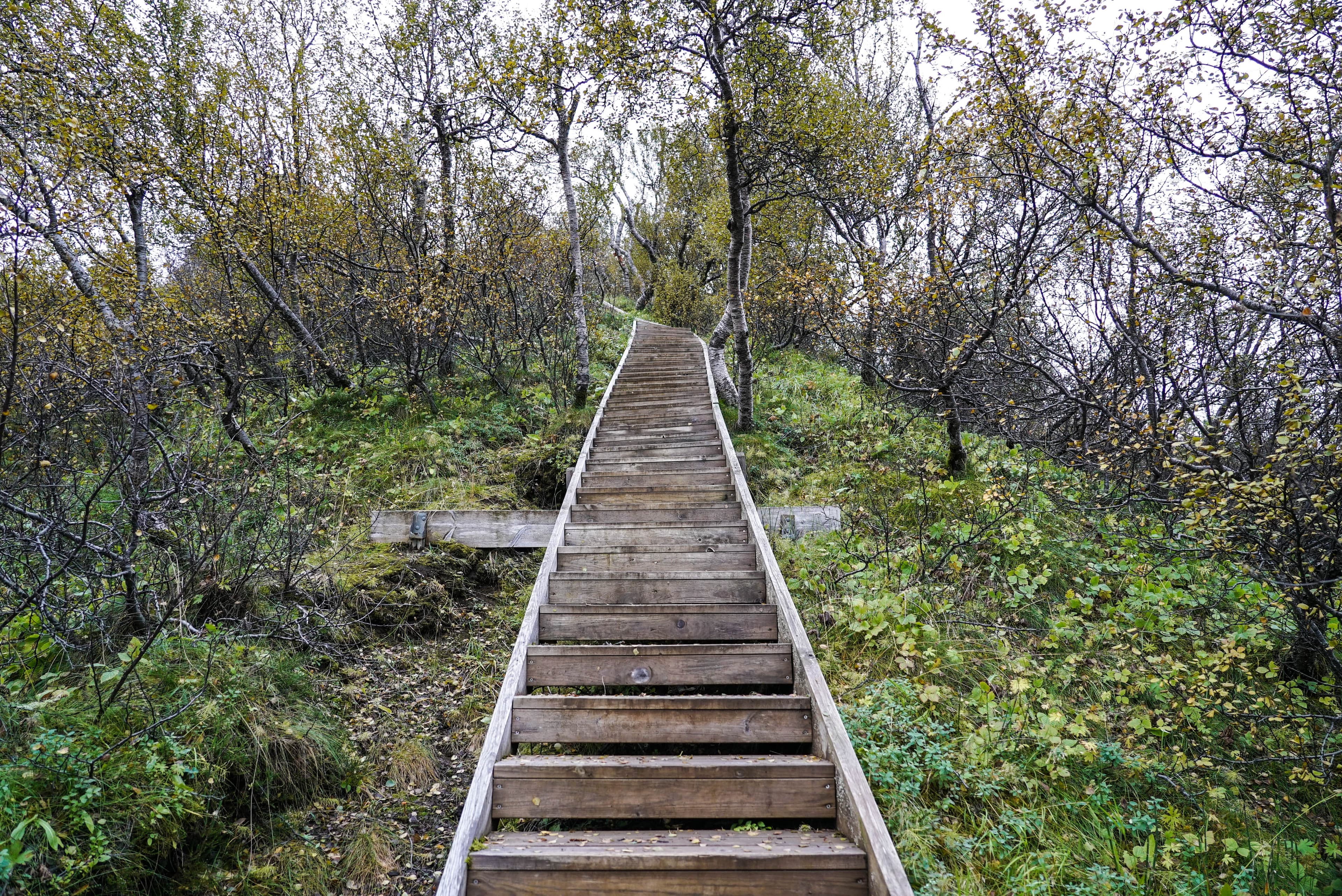 Thorsmork Valley Private Day Tour - photo 4