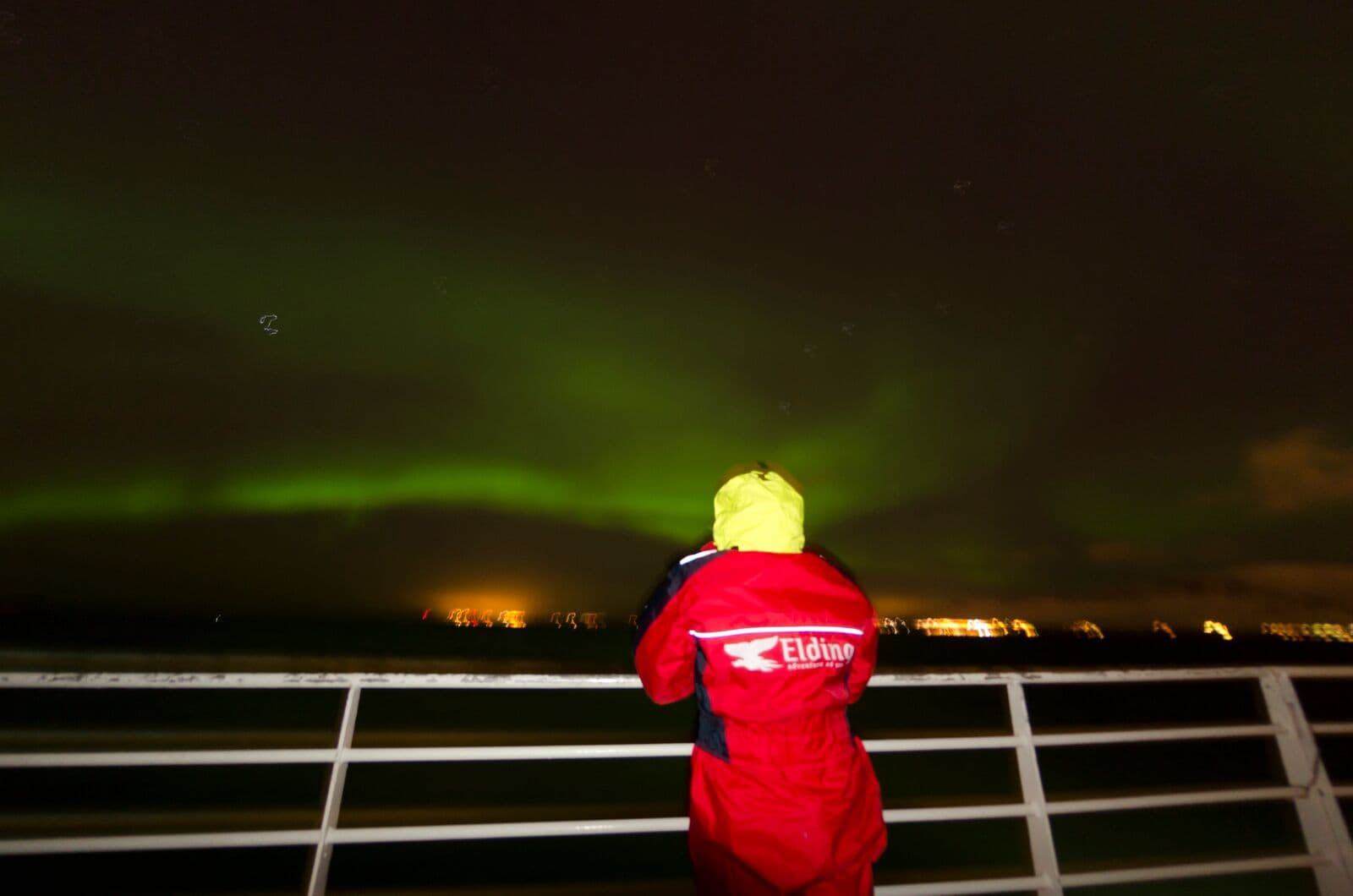 Reykjavík Whales & Northern Lights - photo 14