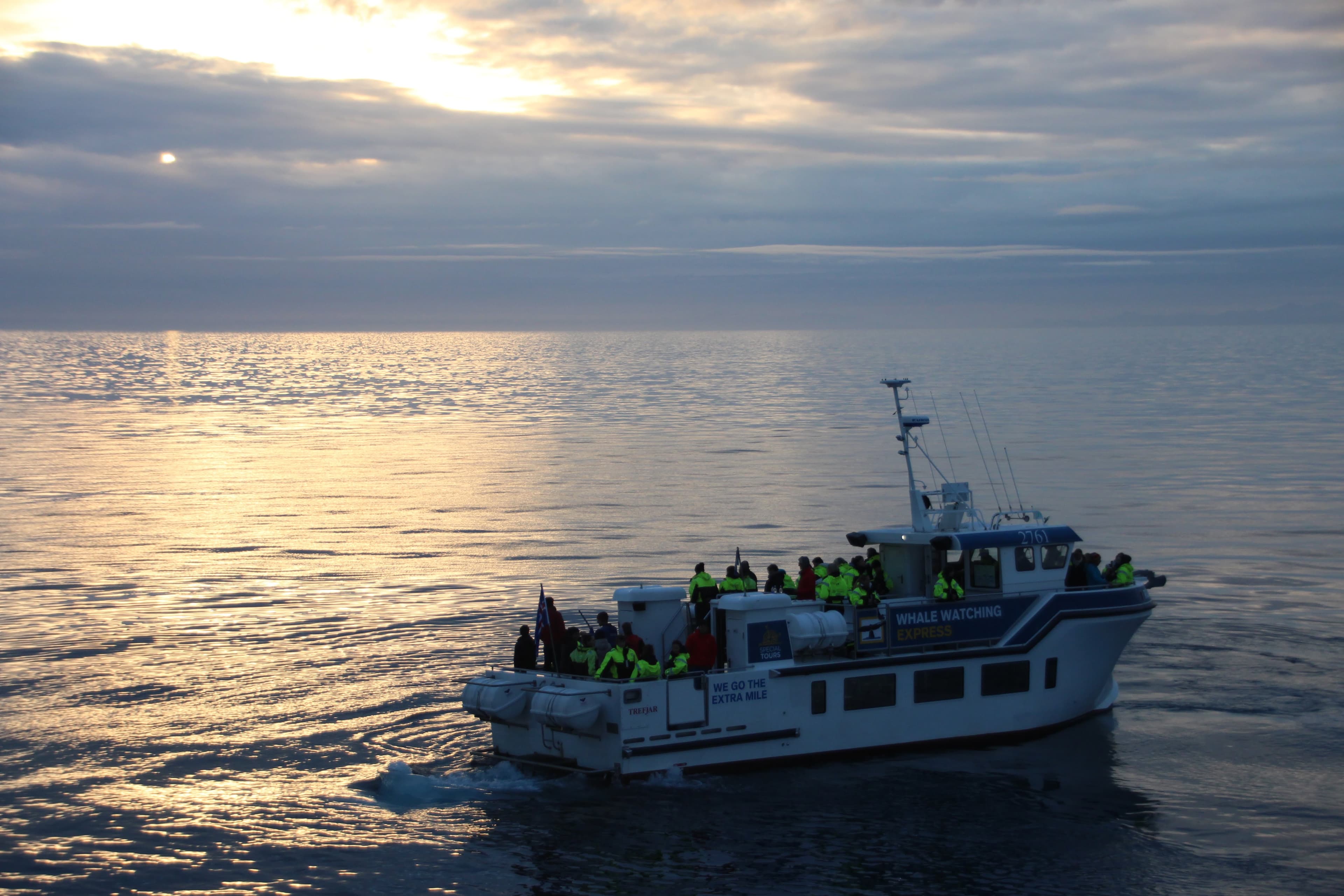 Whales & Sea Angling - photo 10