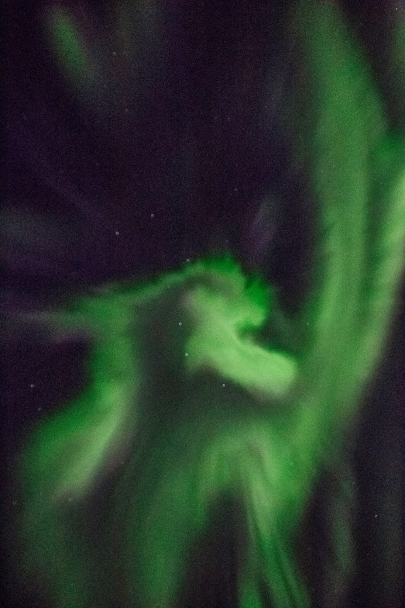 Private Combo 2in1 tour Golden Circle - Northern light hunt 12h  - photo 12