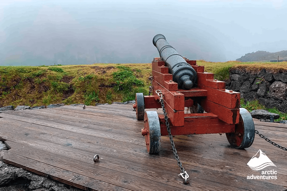 Vestmannaeyjar Day Tour - photo 9