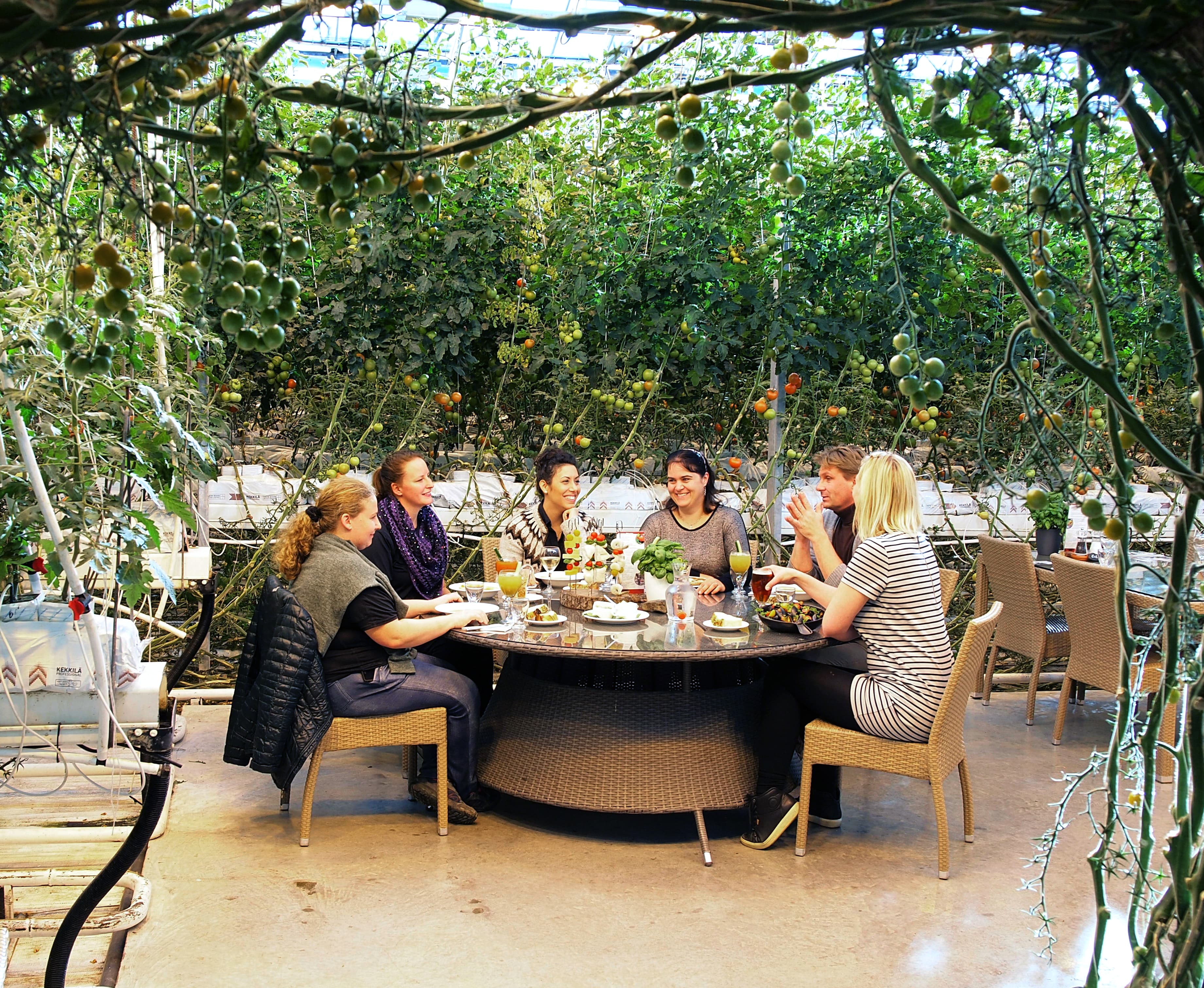 Private Gourmet Golden Circle Tour - photo 12