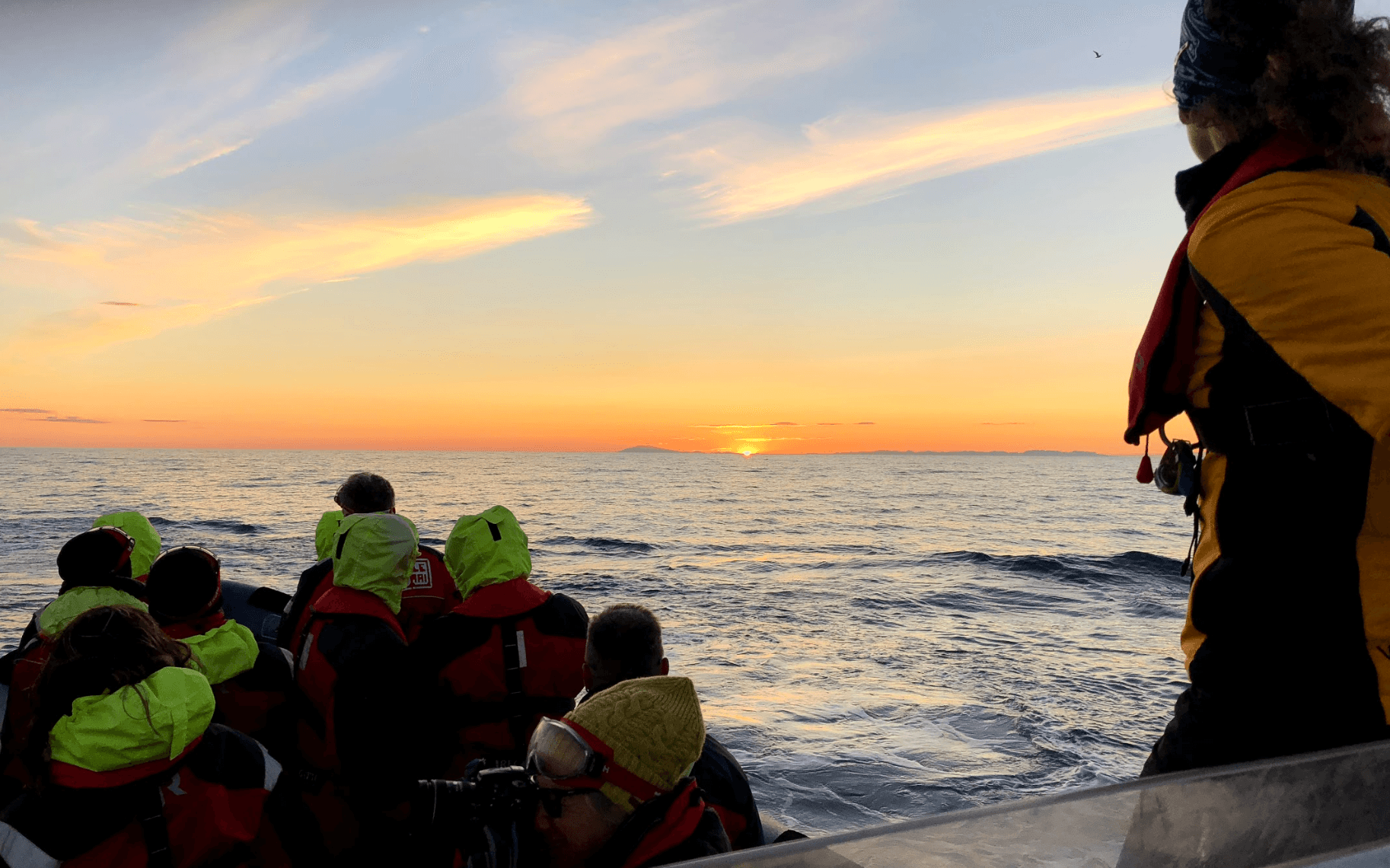 Reykjavík Premium Whales in the Midnight Sun - photo 9