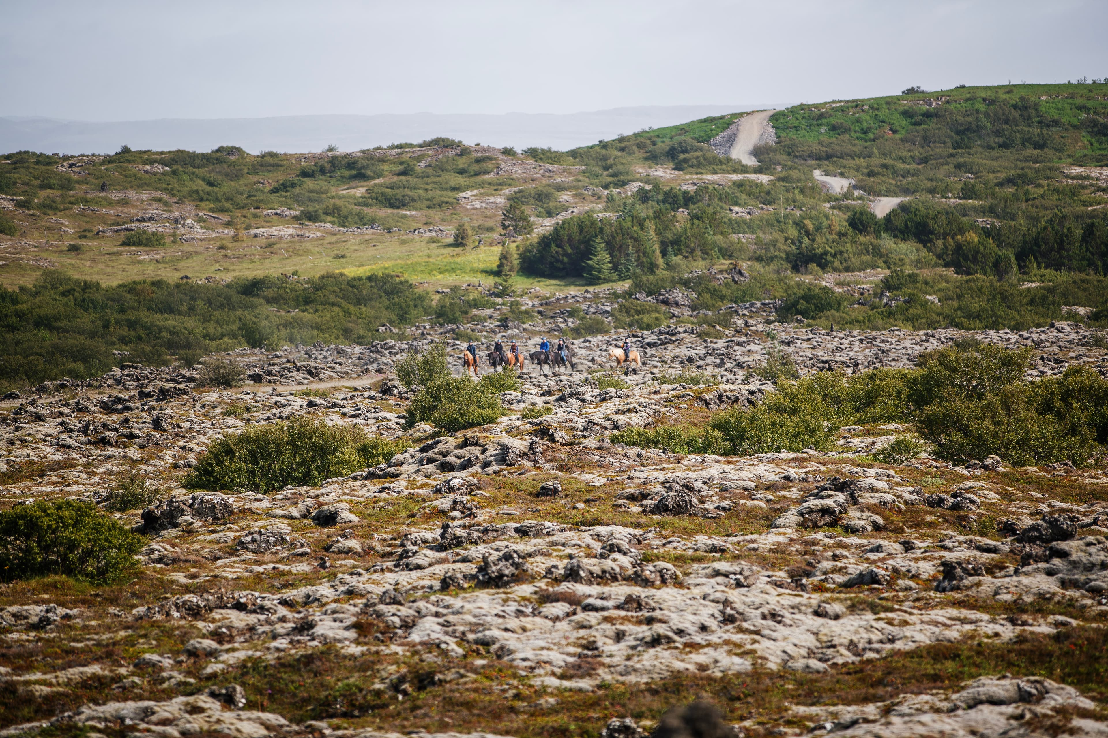Lava Tour - Horseback Riding through the Lava Fields - photo 11