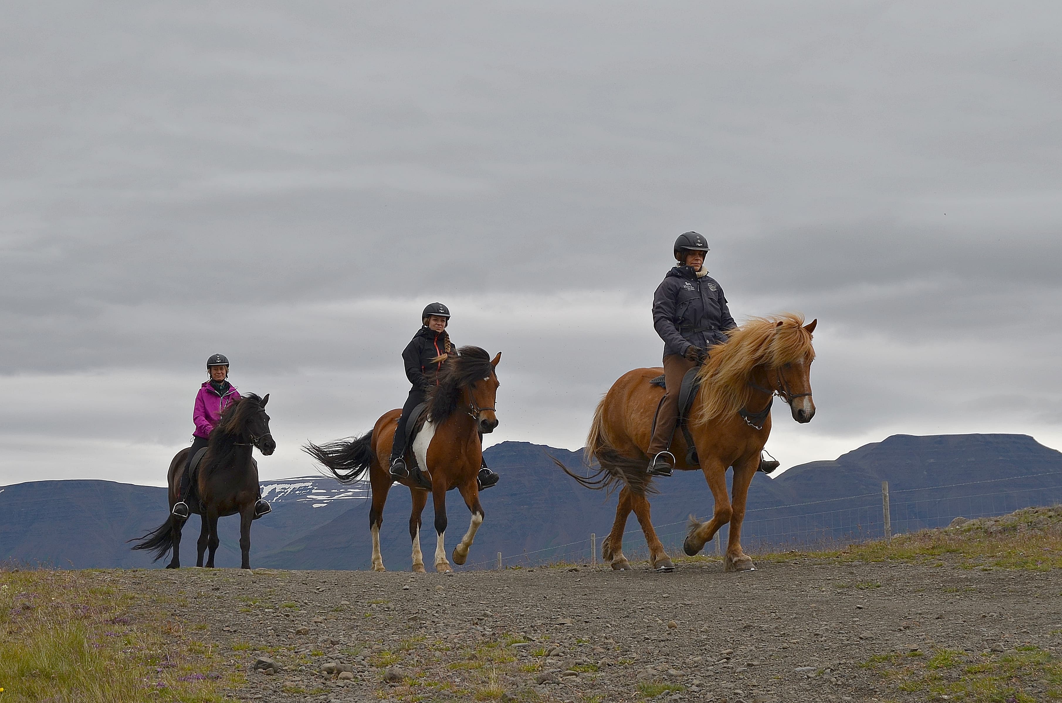 Pleasure in every hoof step - photo 11