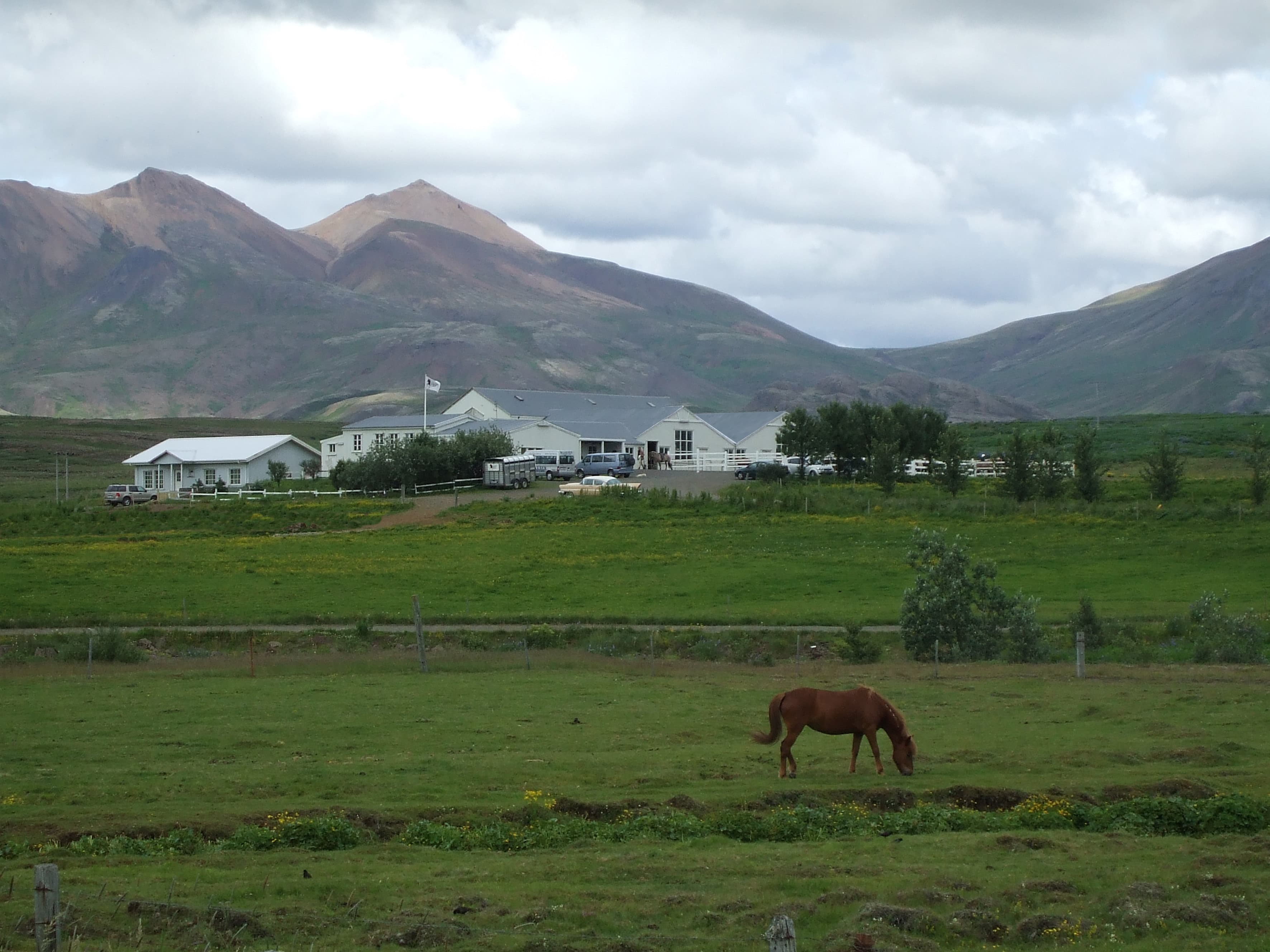 Silfra Snorkeling - with underwater photos & Horseback riding - photo 16
