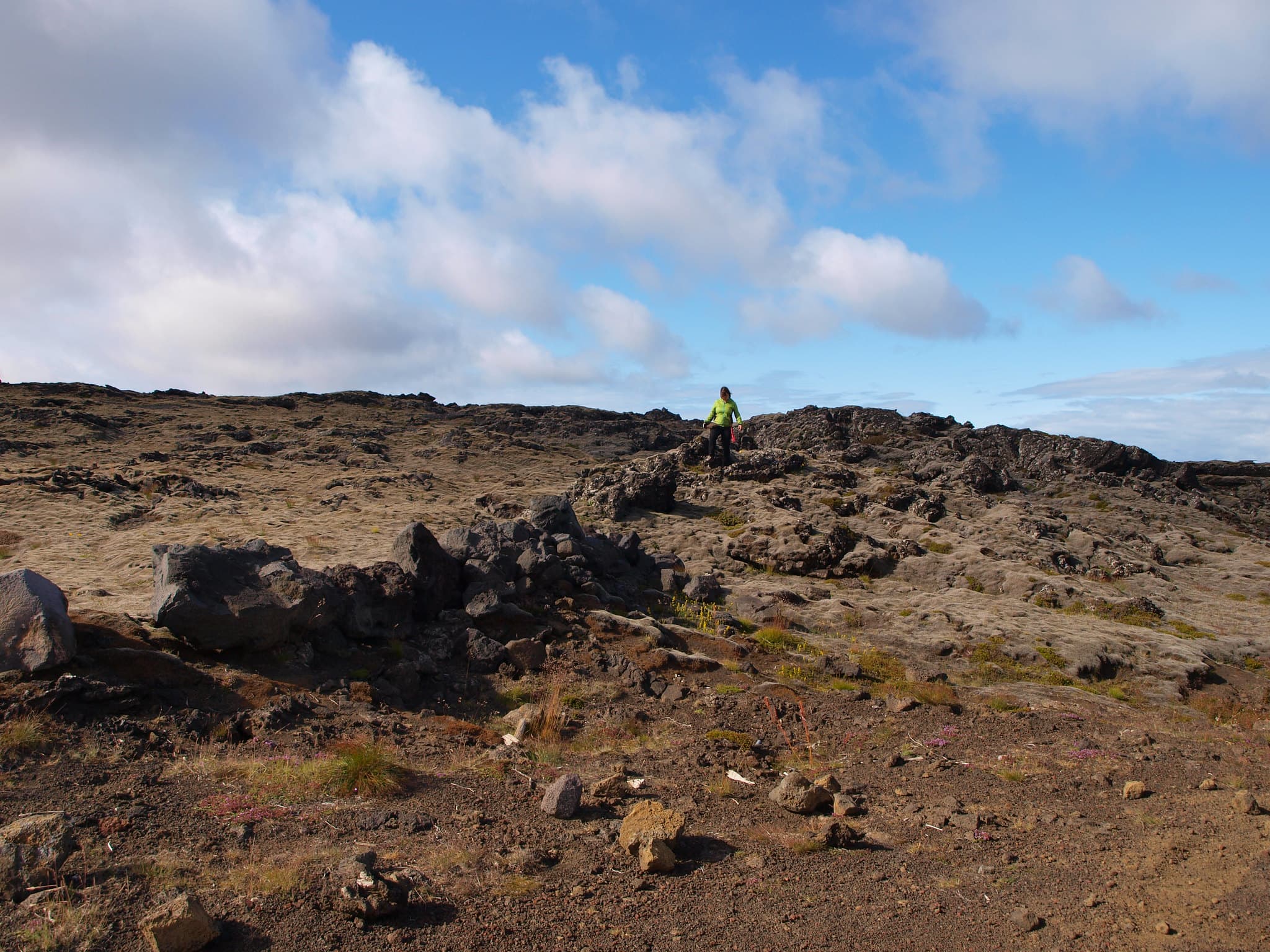 Reykjanes Peninsula & Blue Lagoon Private Day Tour - photo 4