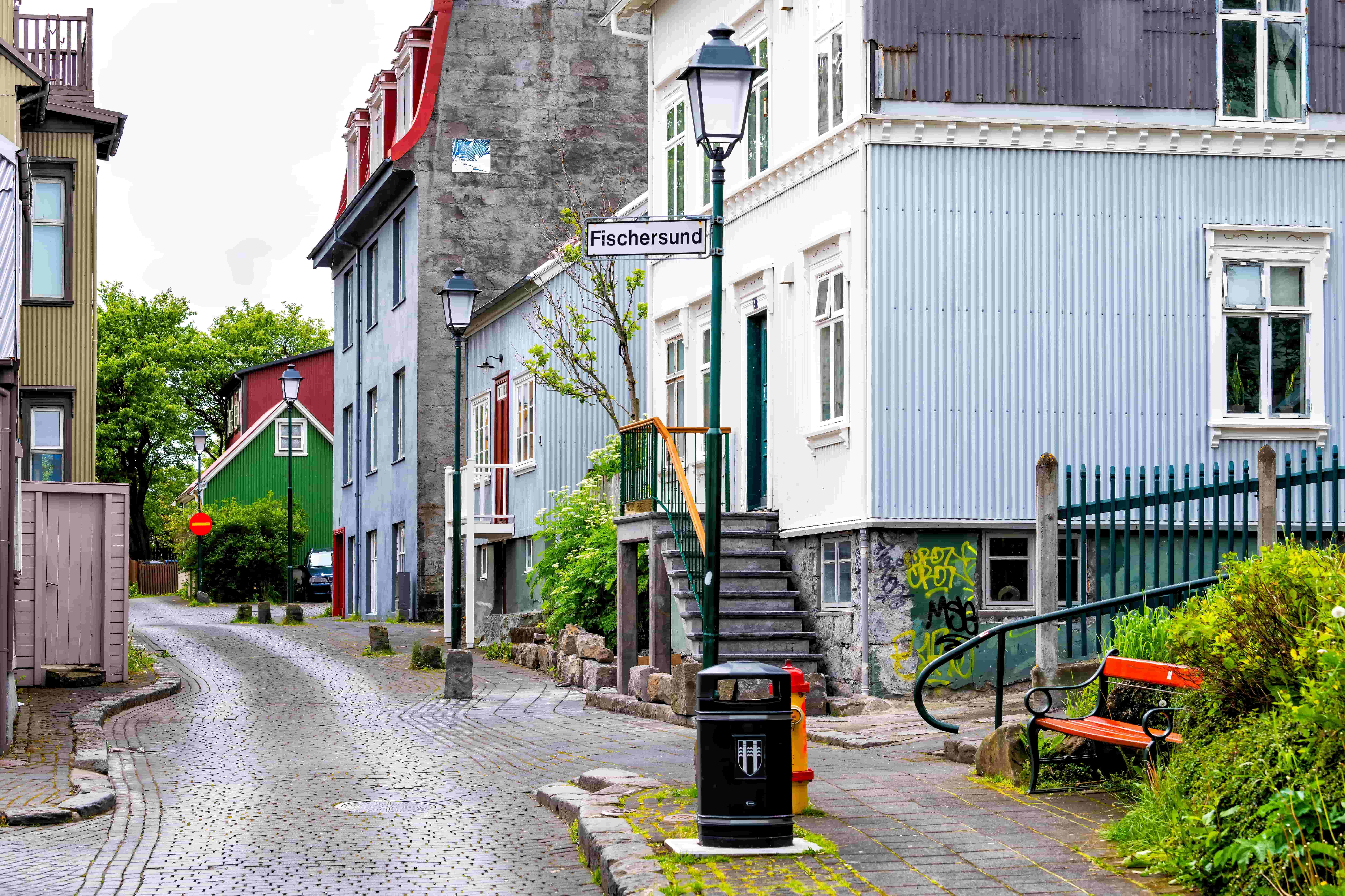 Private Reykjavik City & Icelandic Architecture Walking Tour - photo 11