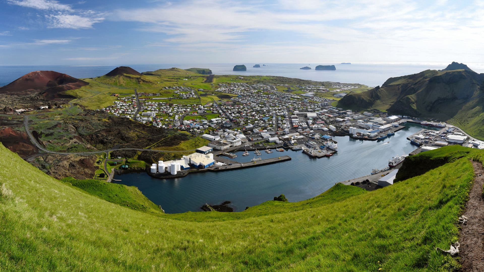 Private Westman Islands Day Tour - photo 10