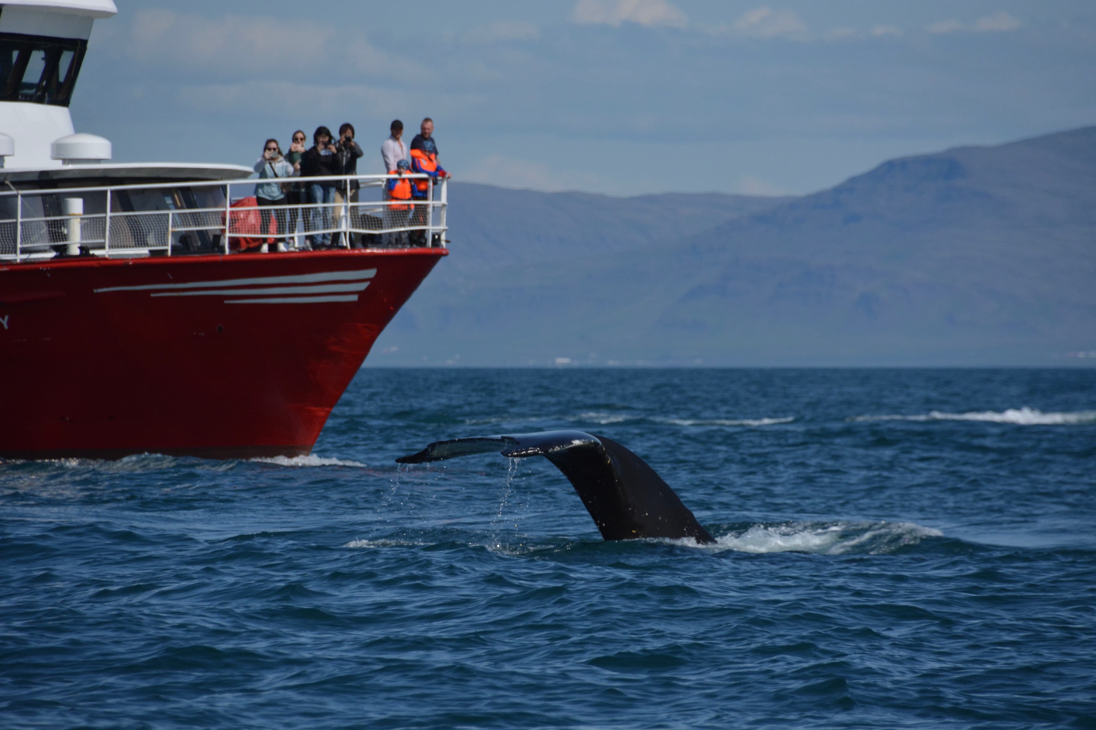 Whales & Lava Show - photo 2