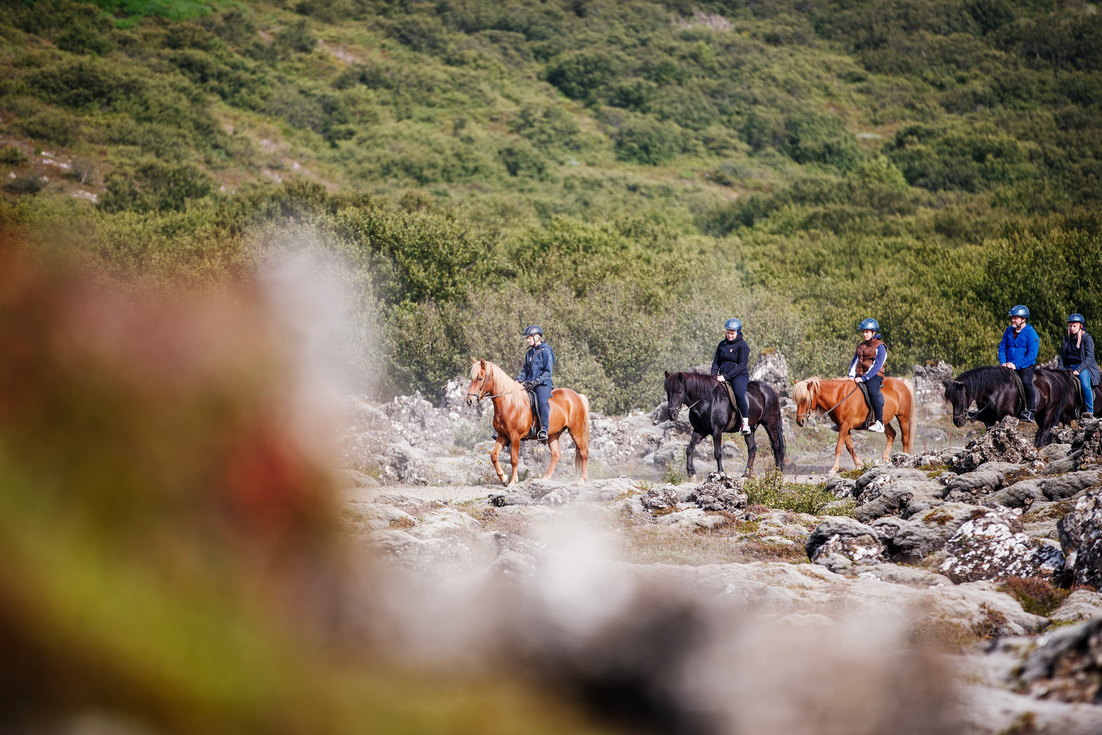 Lava Tour - Horseback Riding through the Lava Fields - photo 23
