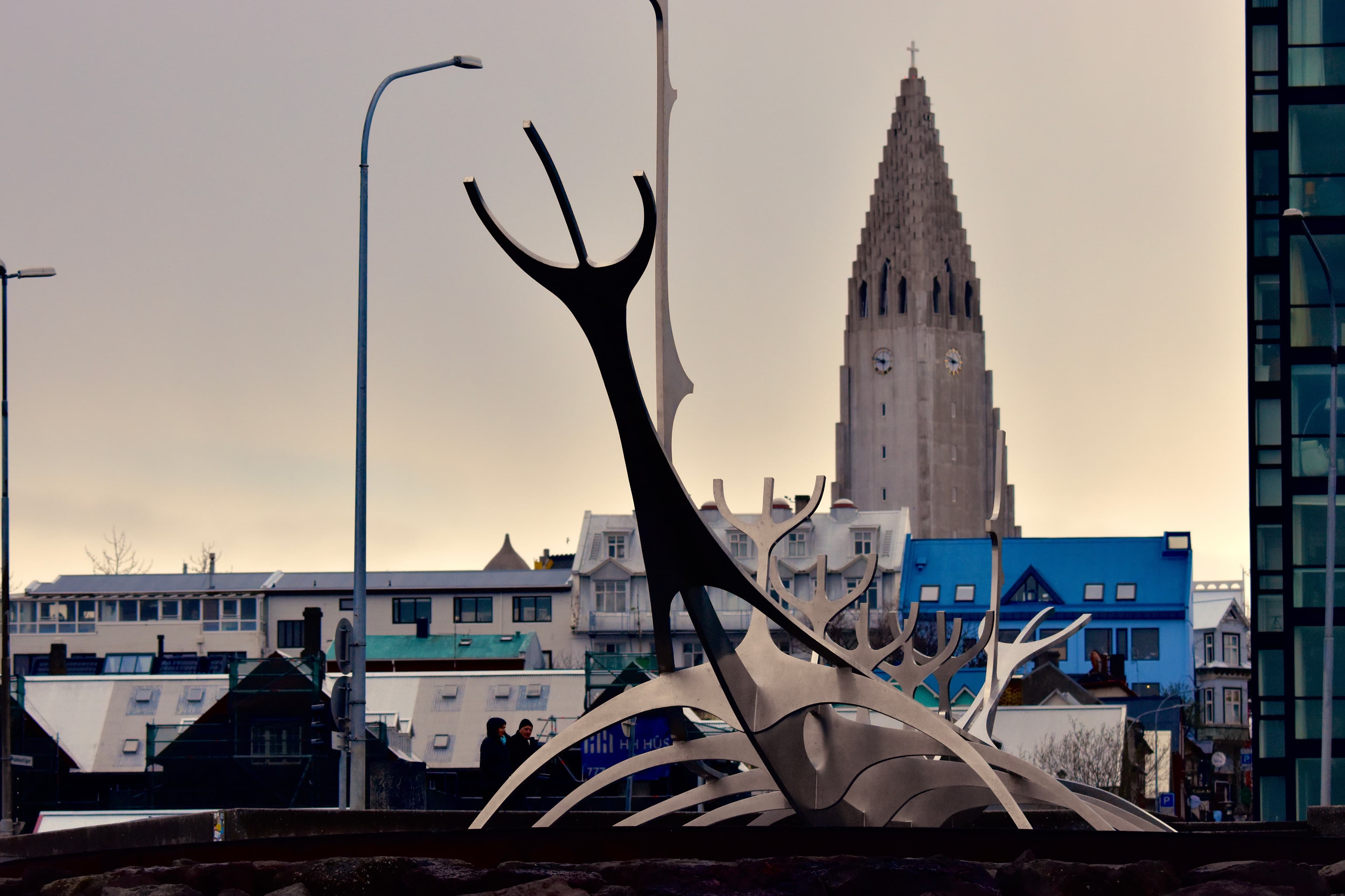 Reykjavík Premium Whale Watching - photo 27