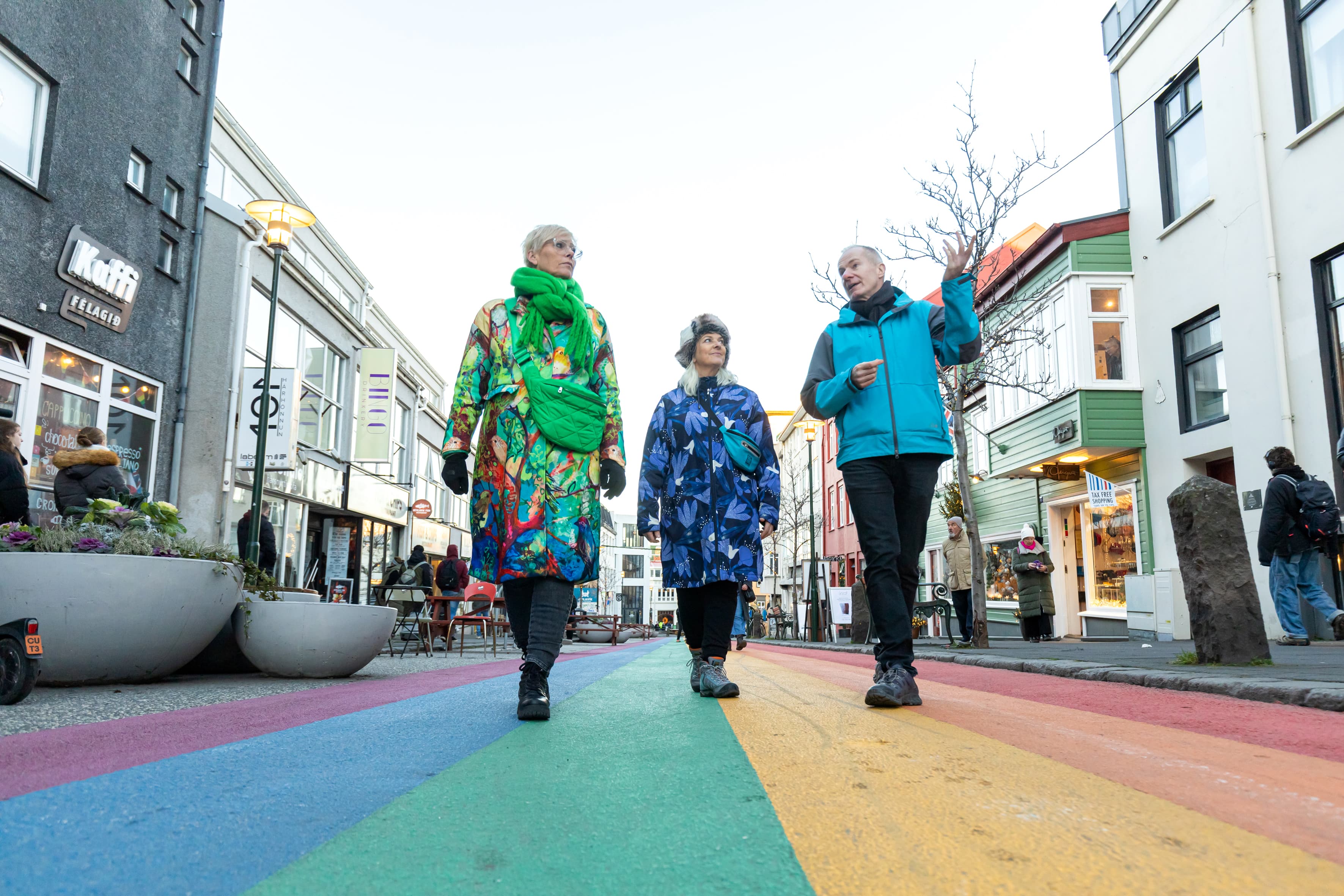 Walk with a Viking - Reykjavik Walking Tour - Small group - photo 5