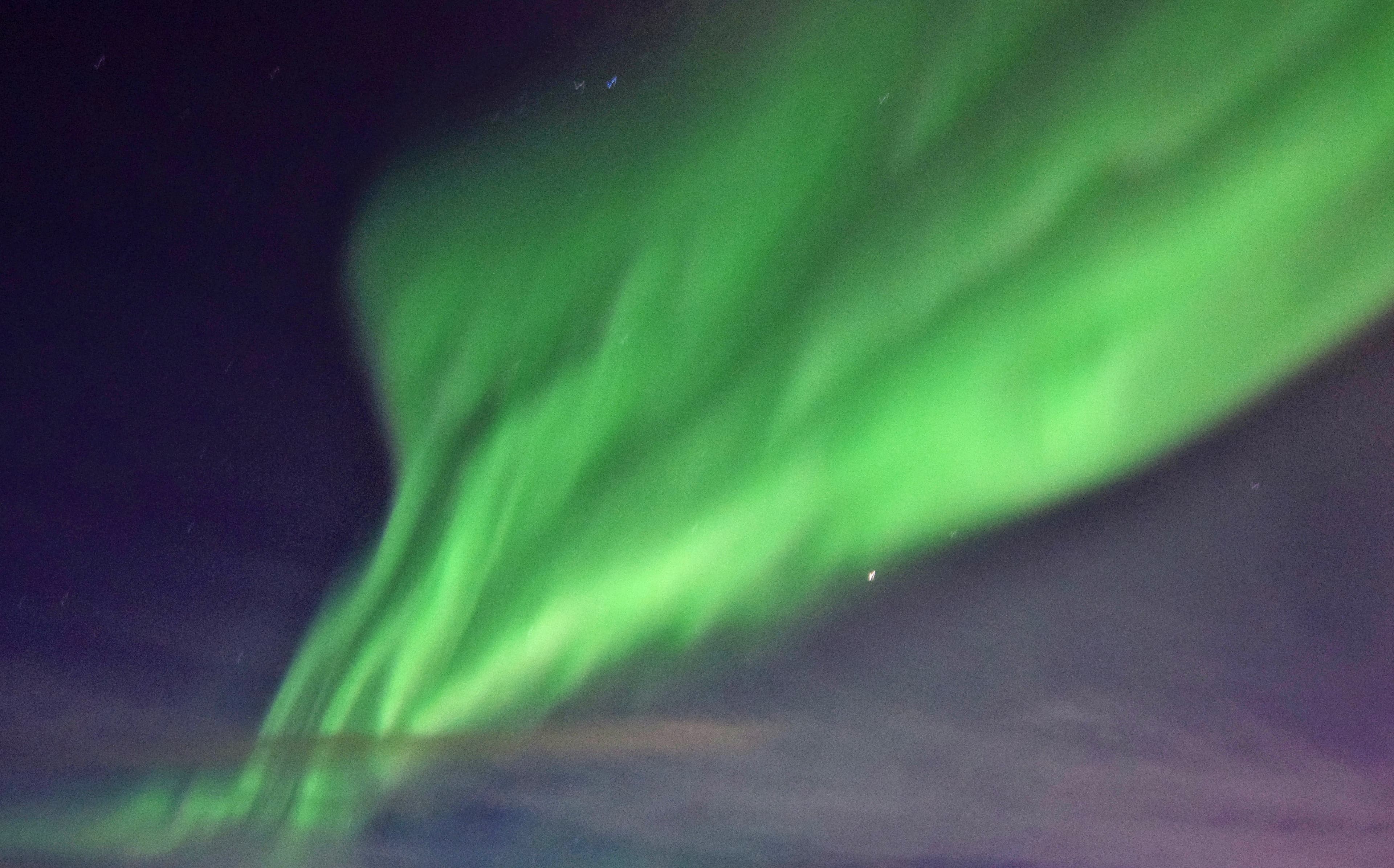 Reykjavík Whales & Northern Lights - photo 5