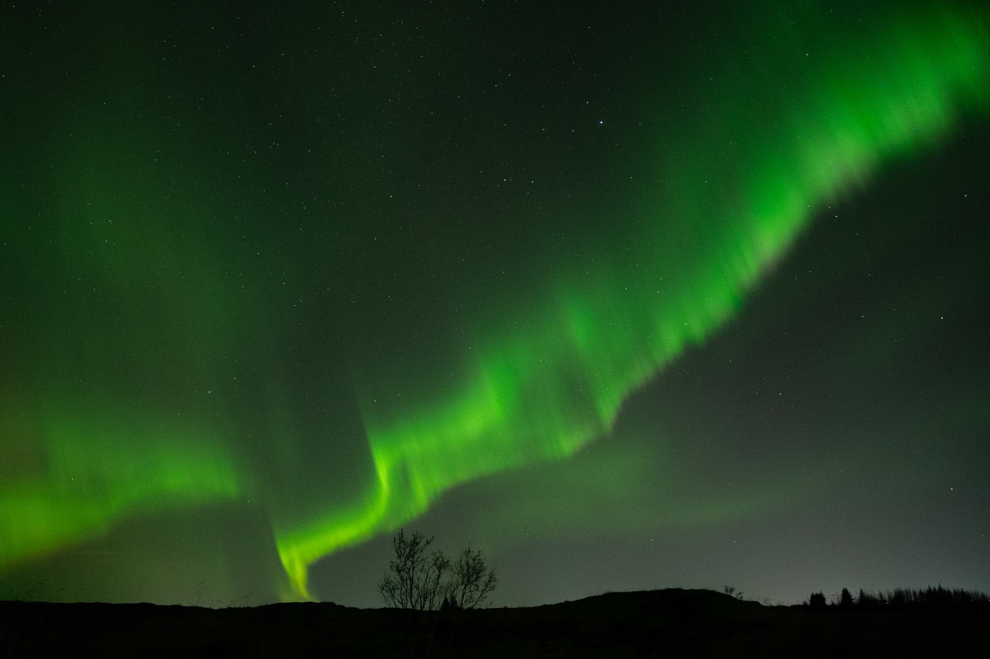 Northern Lights in Mini Bus with Local Pastries, Hot Chocolate and Photos