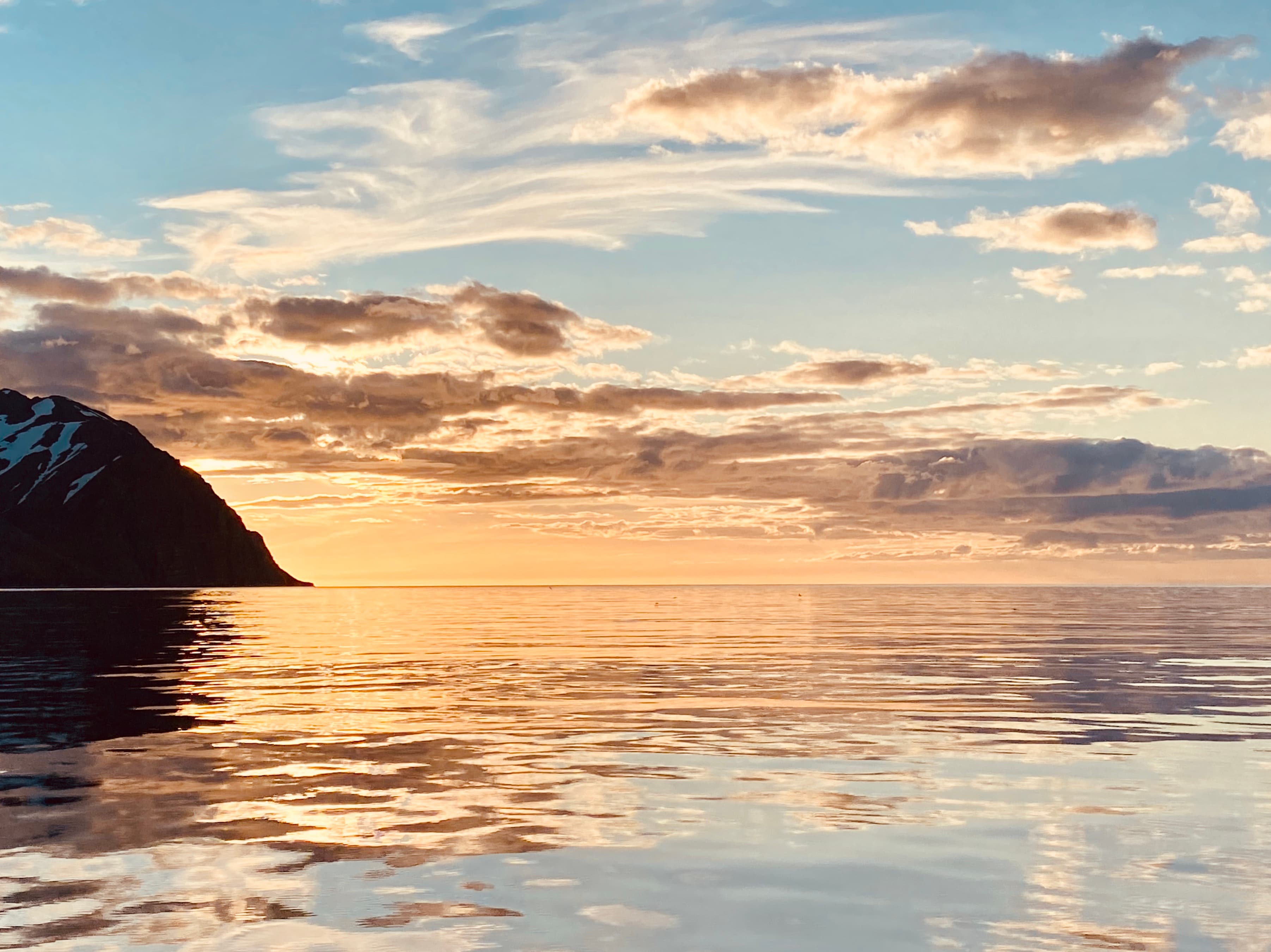 Midnight Sun Whale Watching - photo 4