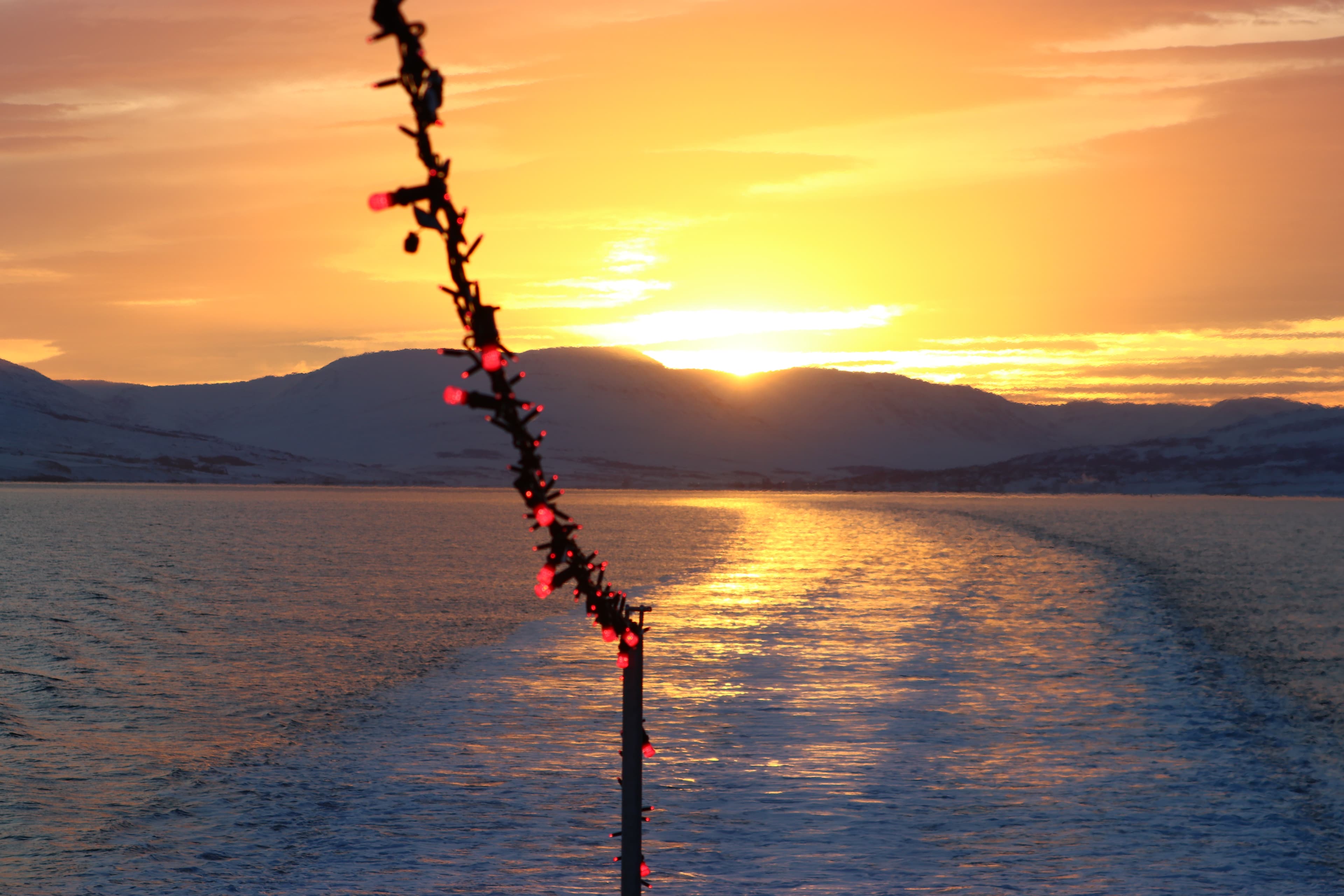 Akureyri Classic Whales in the Midnight Sun - photo 14