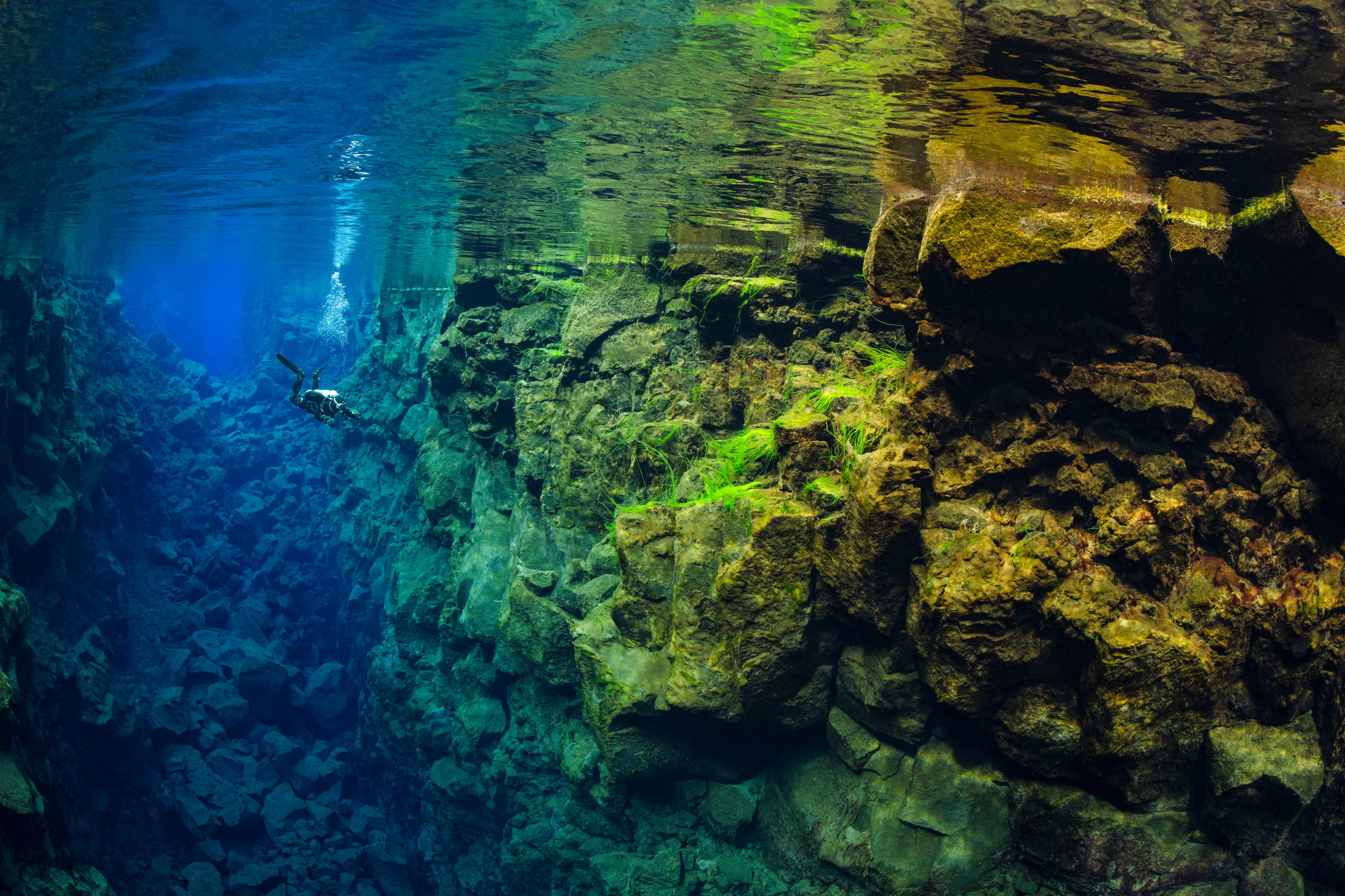 Deep Into the Blue - Silfra Diving