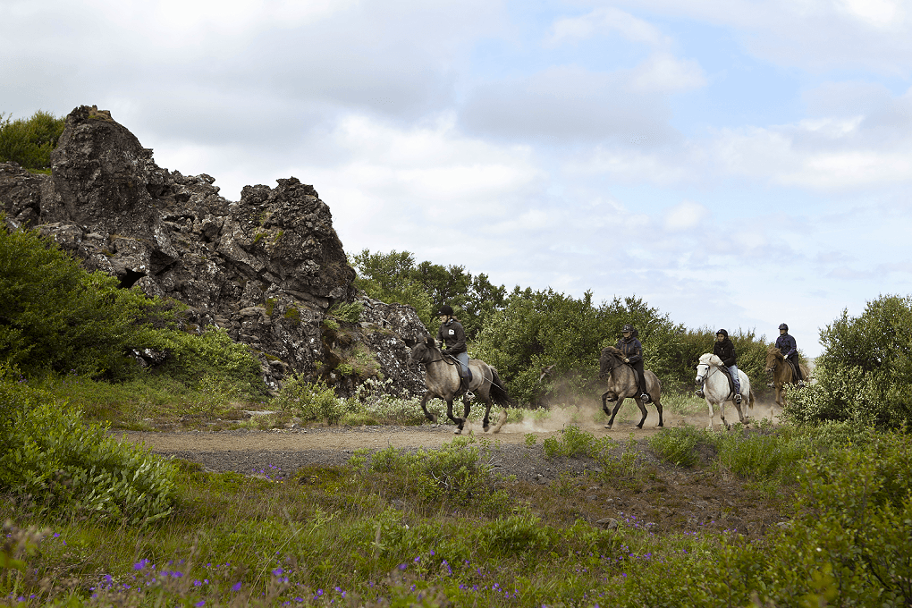 Horse Riding & Caving From Reykjavík - photo 8