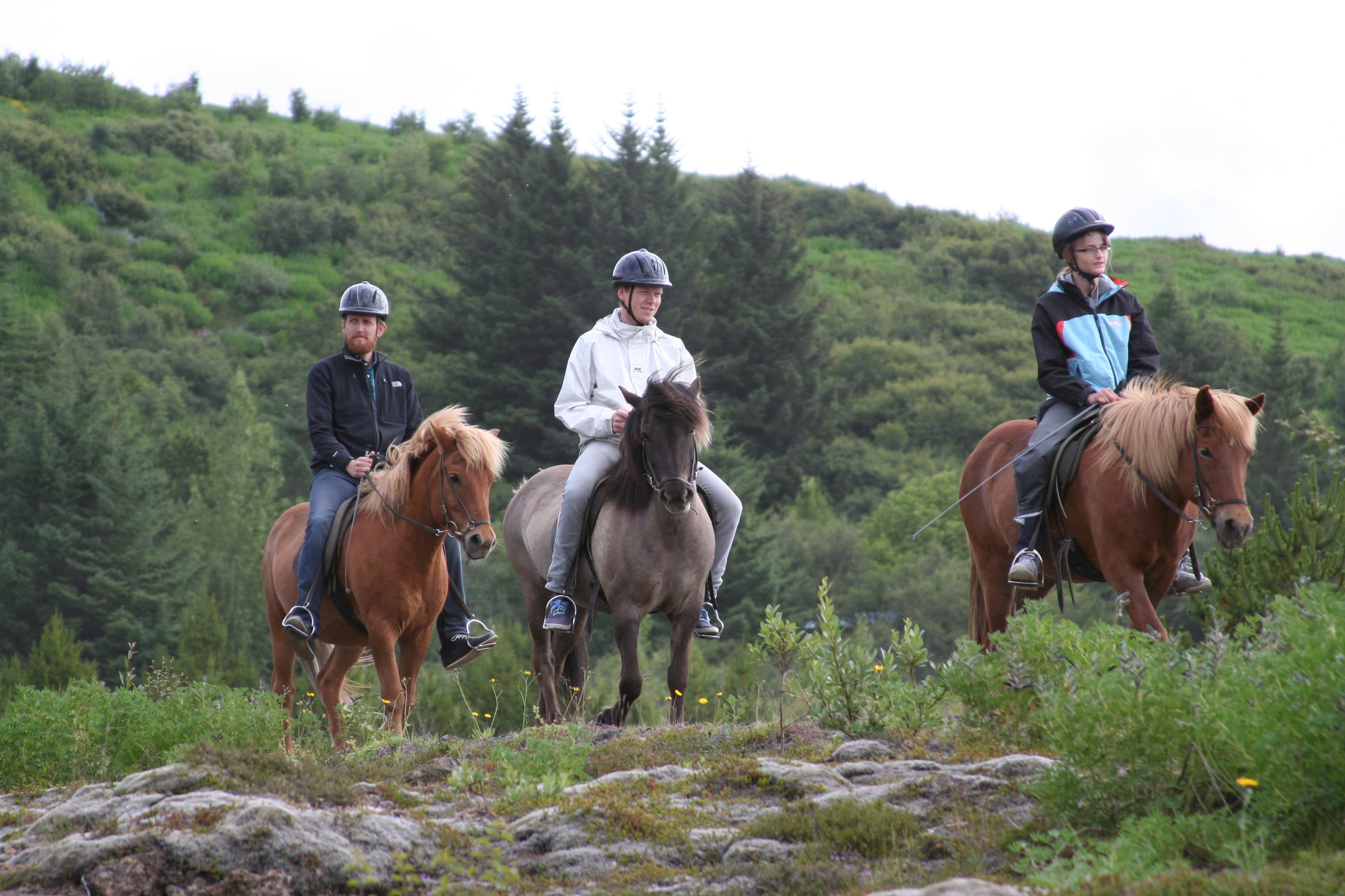 Lava Tour - Horseback Riding through the Lava Fields - photo 20