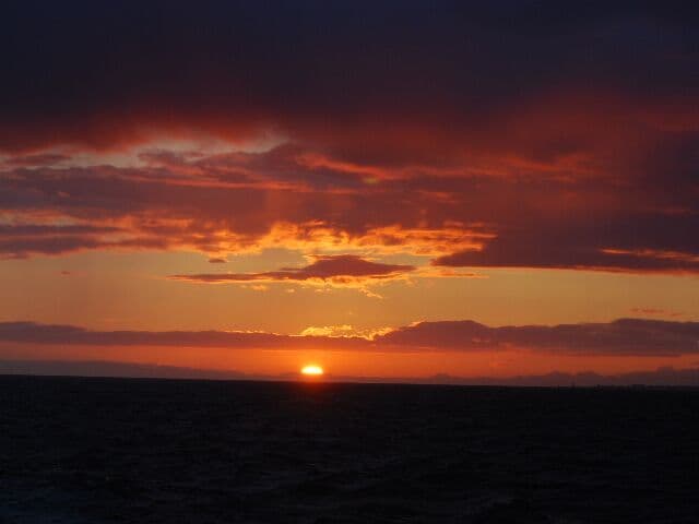 Reykjavík Premium Whales in the Midnight Sun - photo 8
