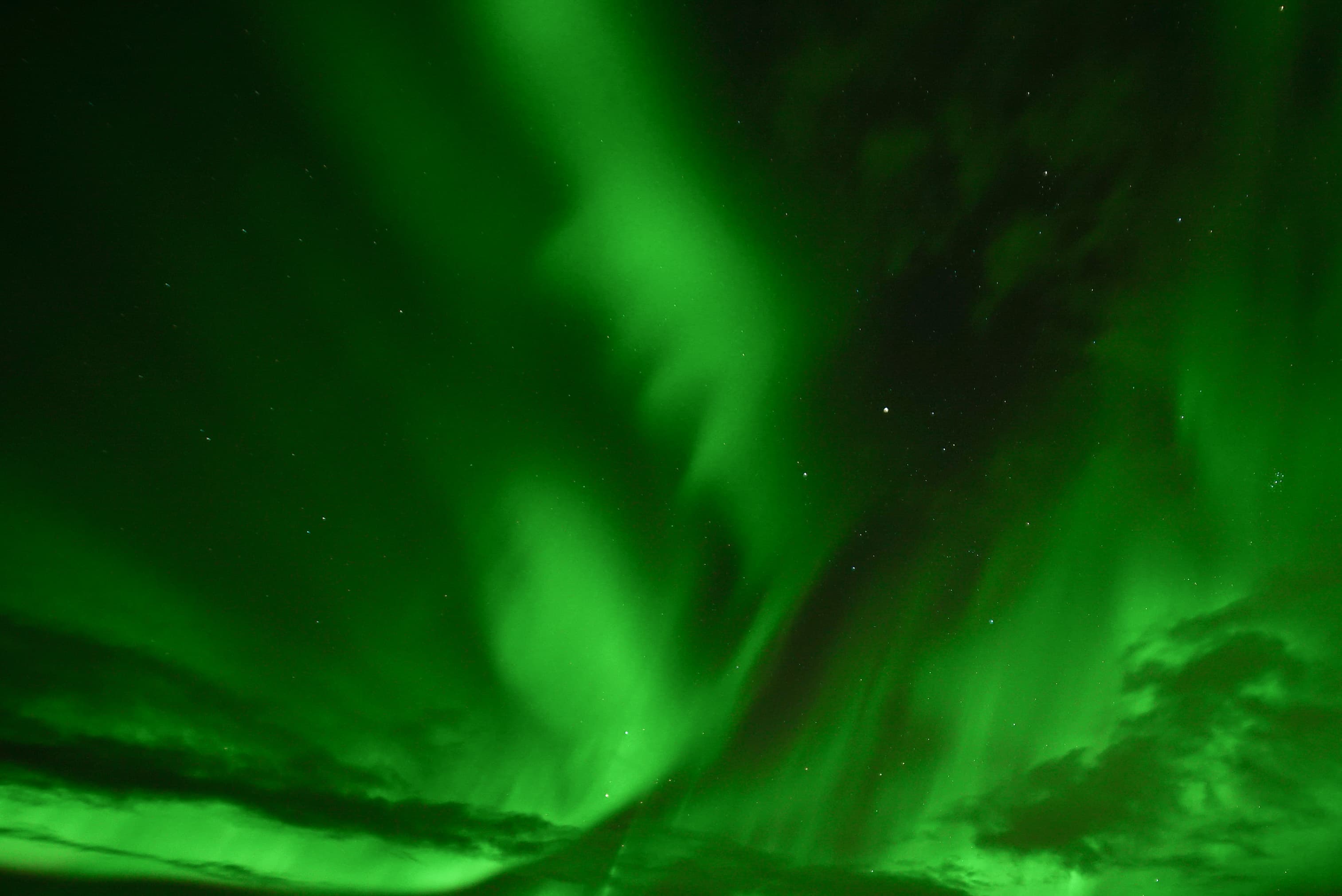 Golden Circle, Secret Lagoon & Northern Lights - photo 9