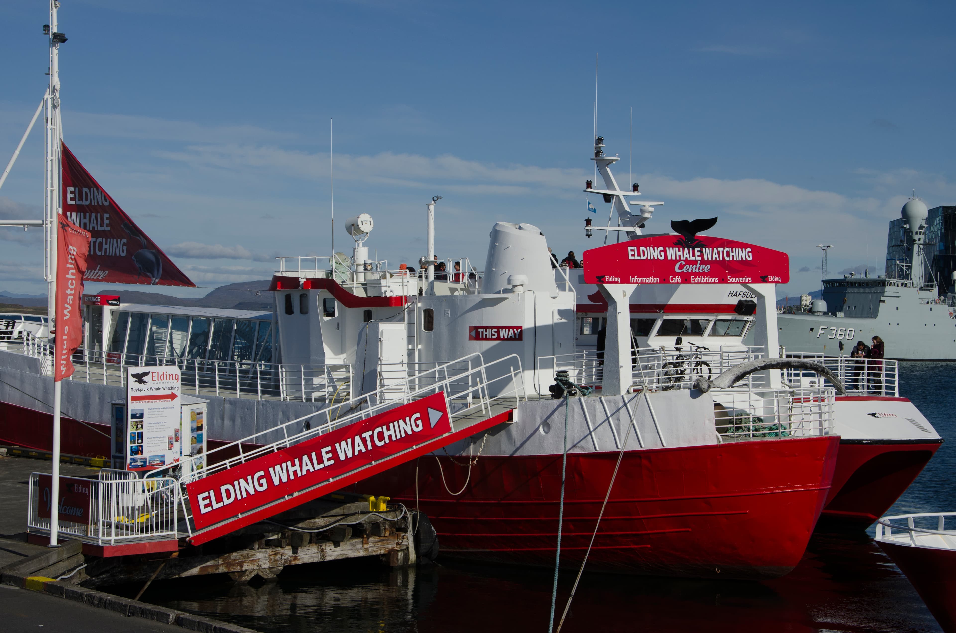 Reykjavík Classic Whale Watching  - photo 41
