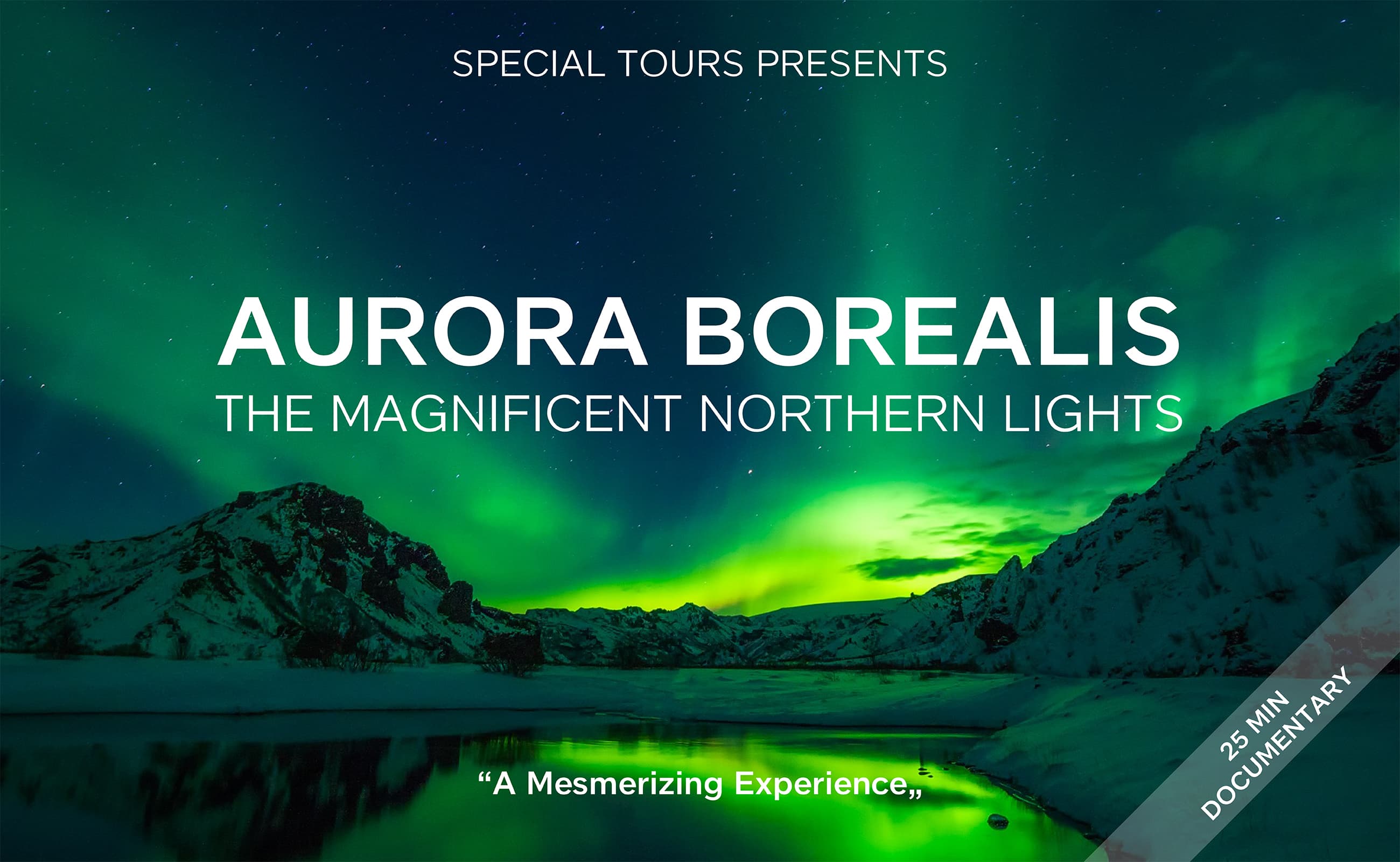 Northern Lights by Boat with a Backup Plan - photo 2