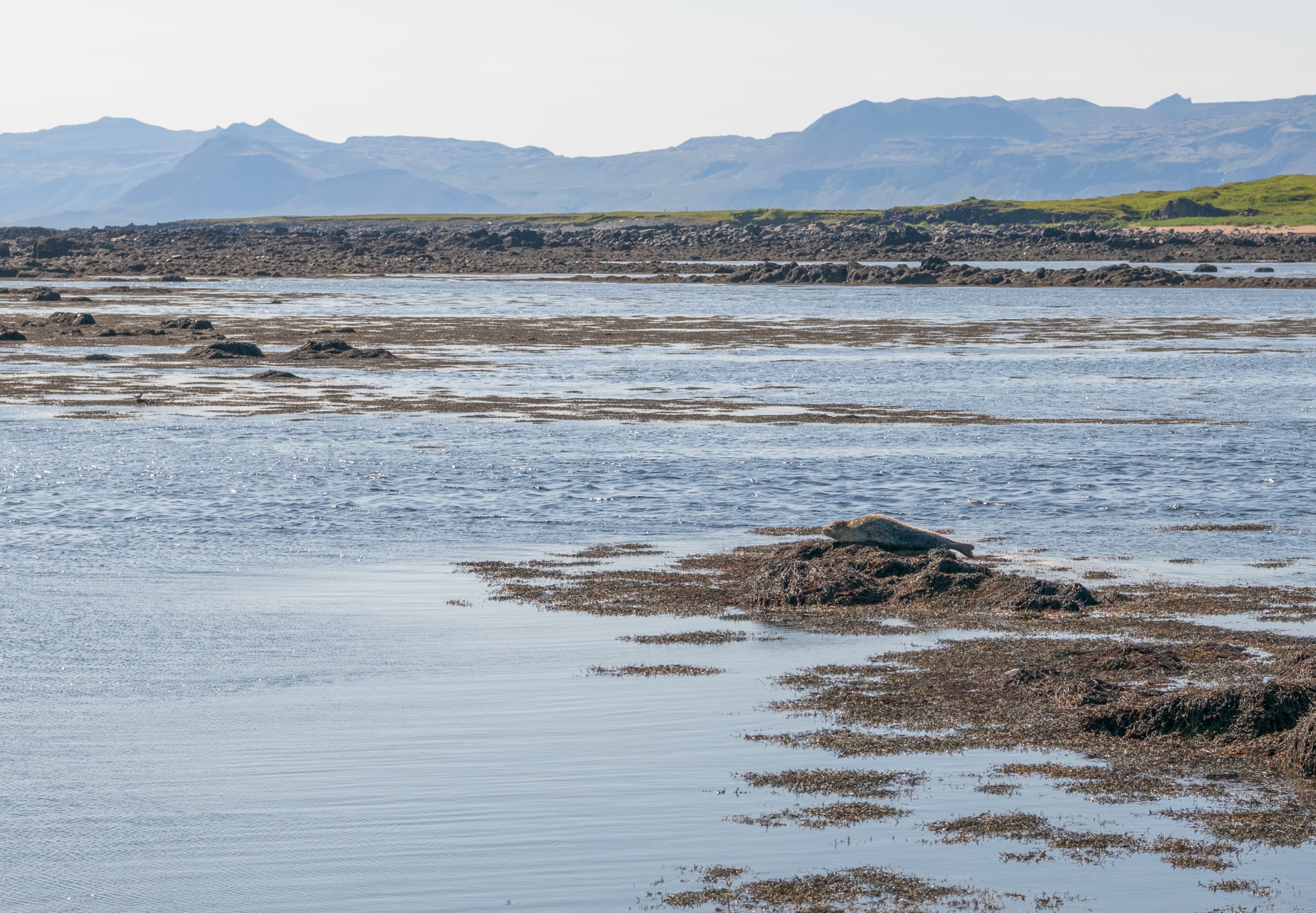 Snæfellsnes Peninsula Tour from Grundarfjordur Port - photo 4